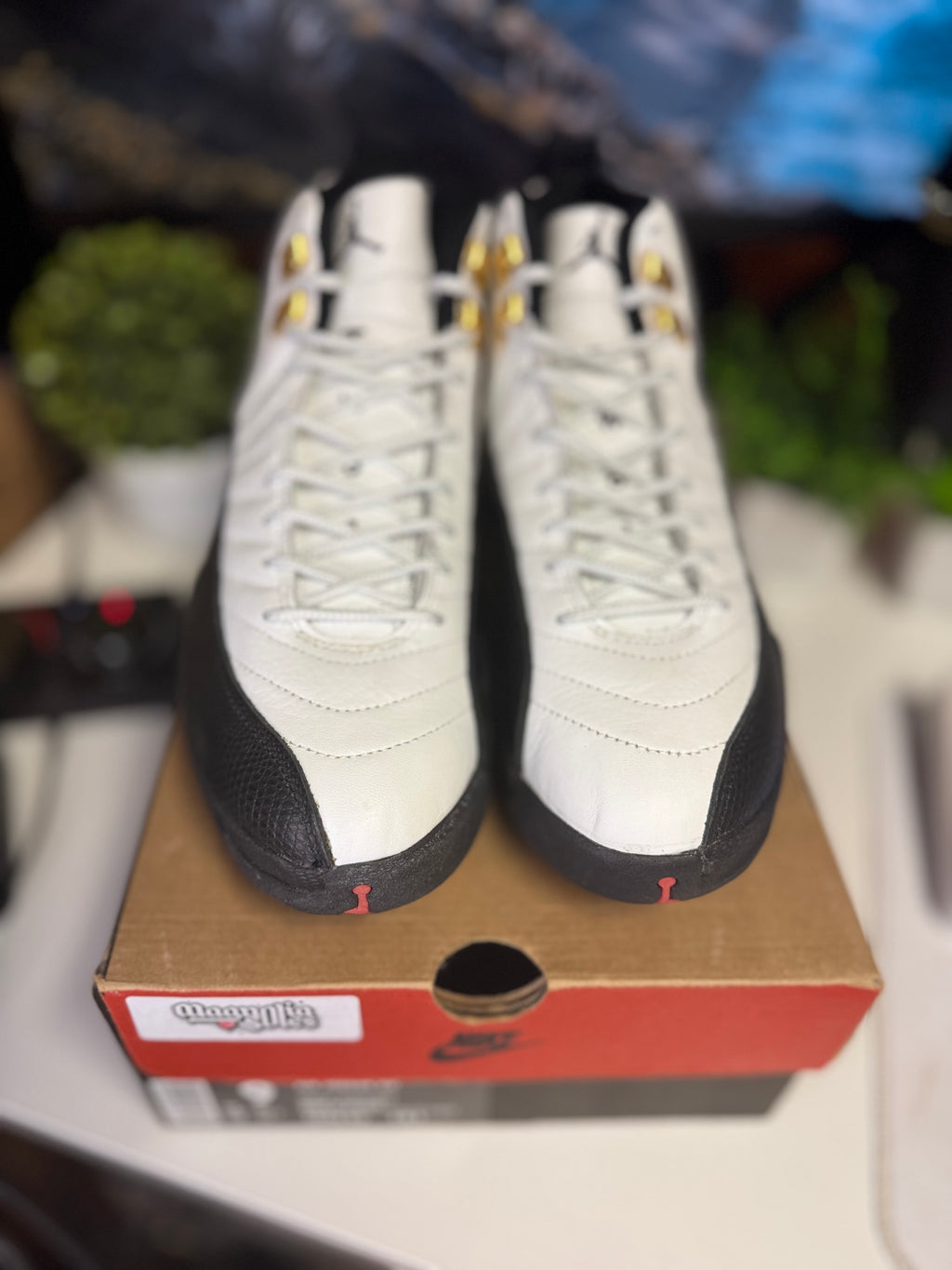 "Taxi" Air Jordan Retro 12 (1997)