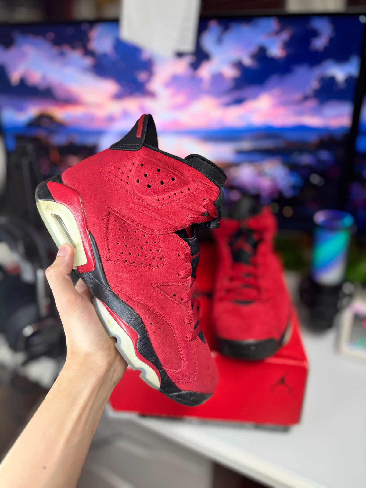 "Toro Bravo" Air Jordan Retro 6