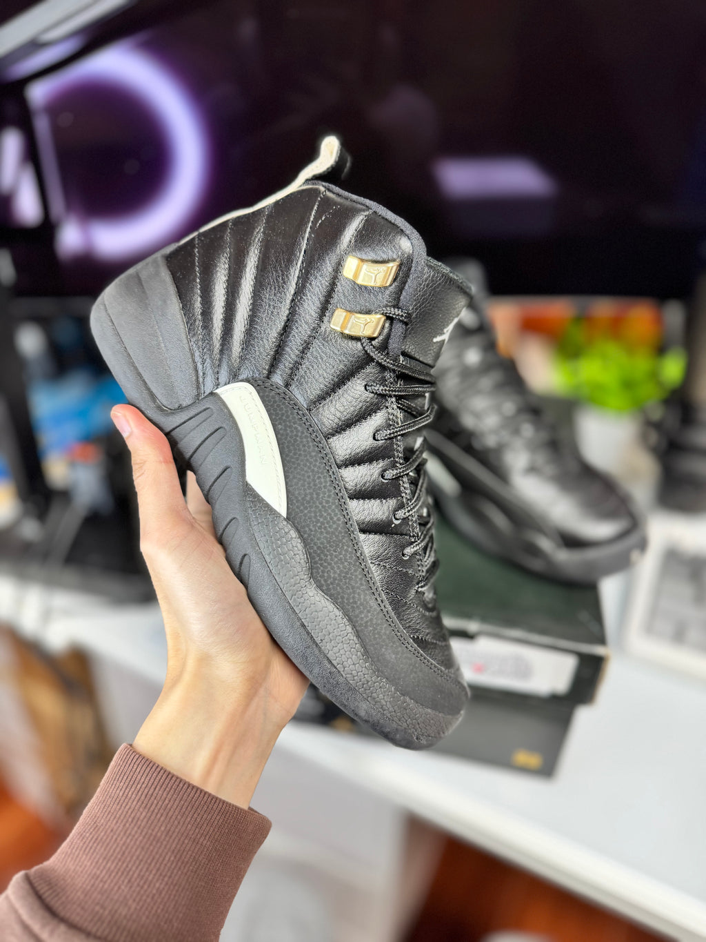 "Master" Air Jordan Retro 12 (GS)