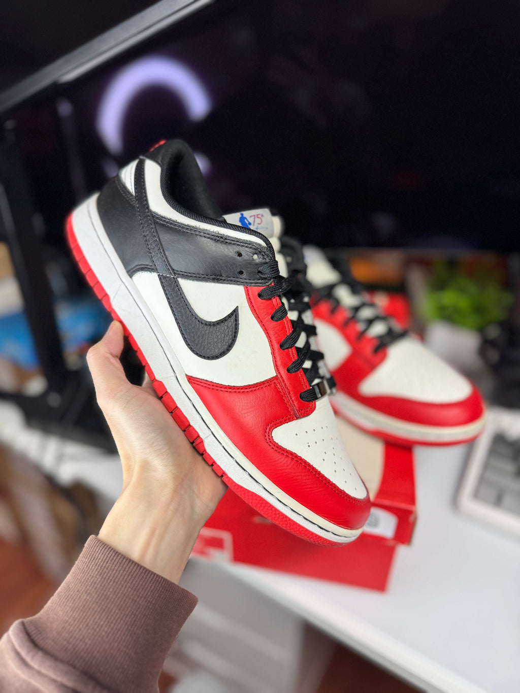 "Chicago Bulls EMB" Nike Dunk Low