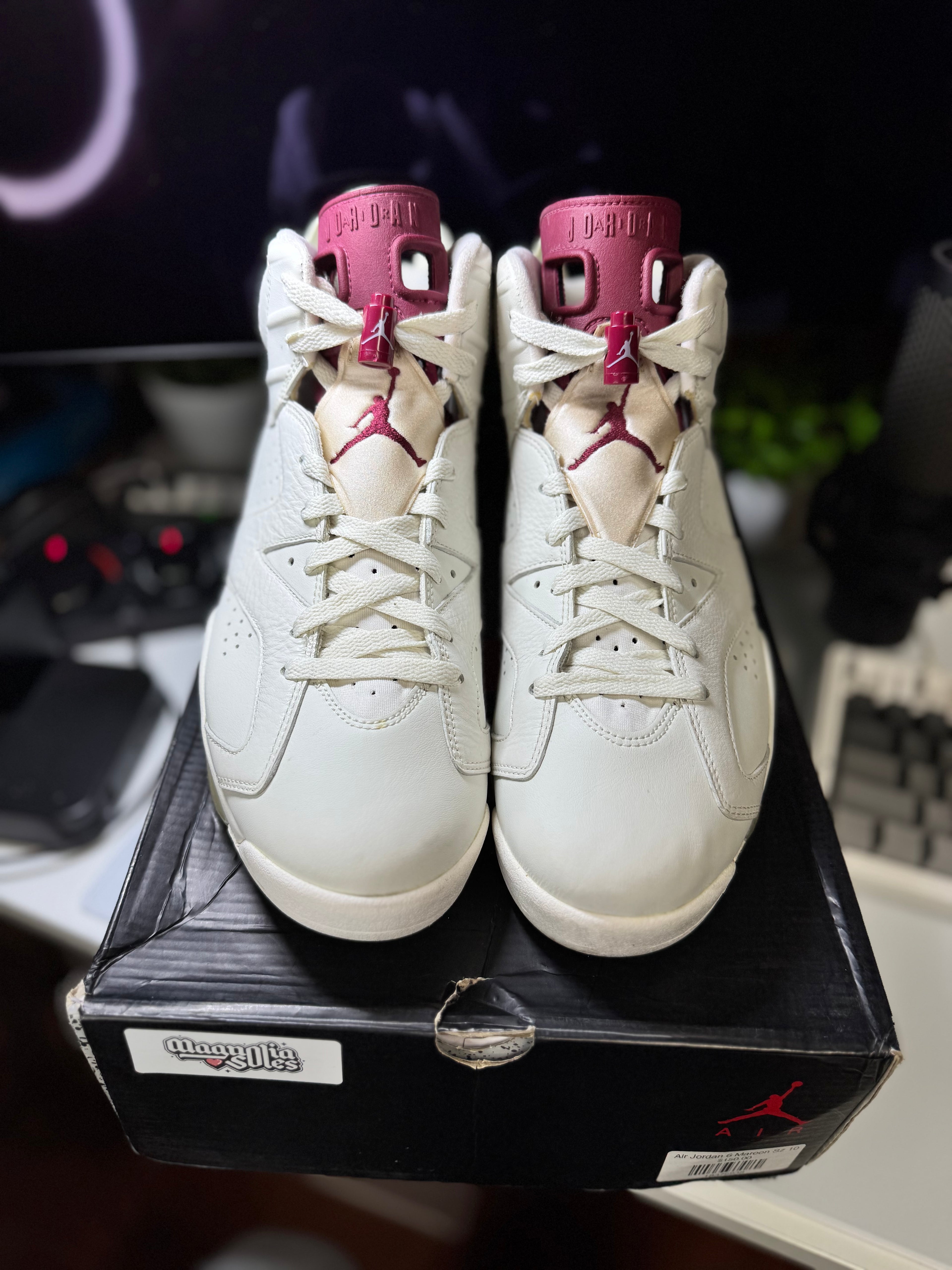 "Maroon" Air Jordan Retro 6