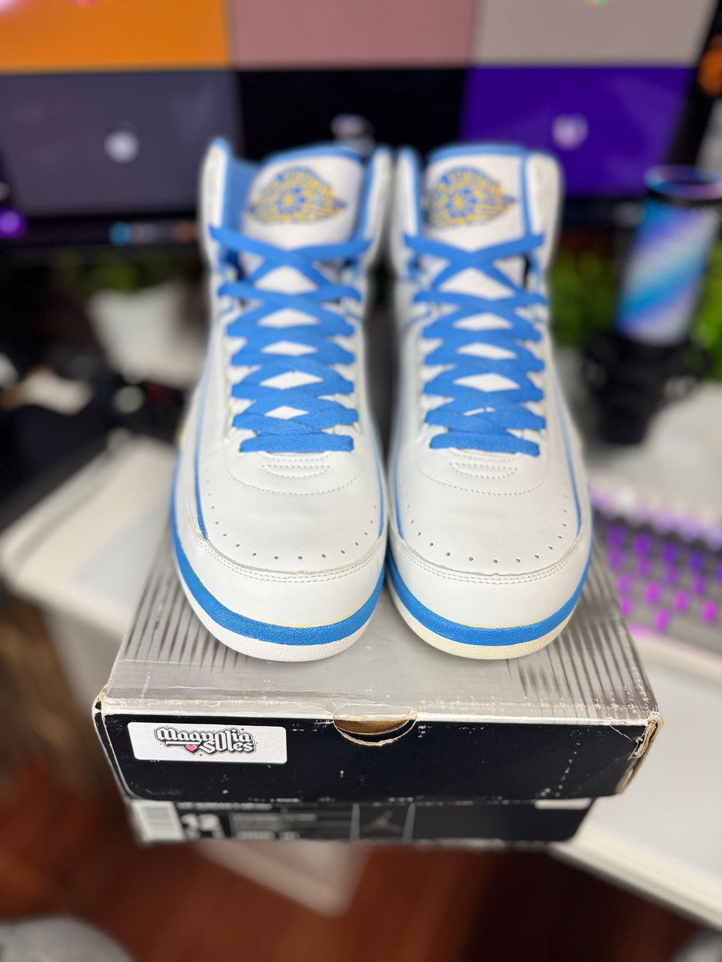 "Melo" Air Jordan Retro 2