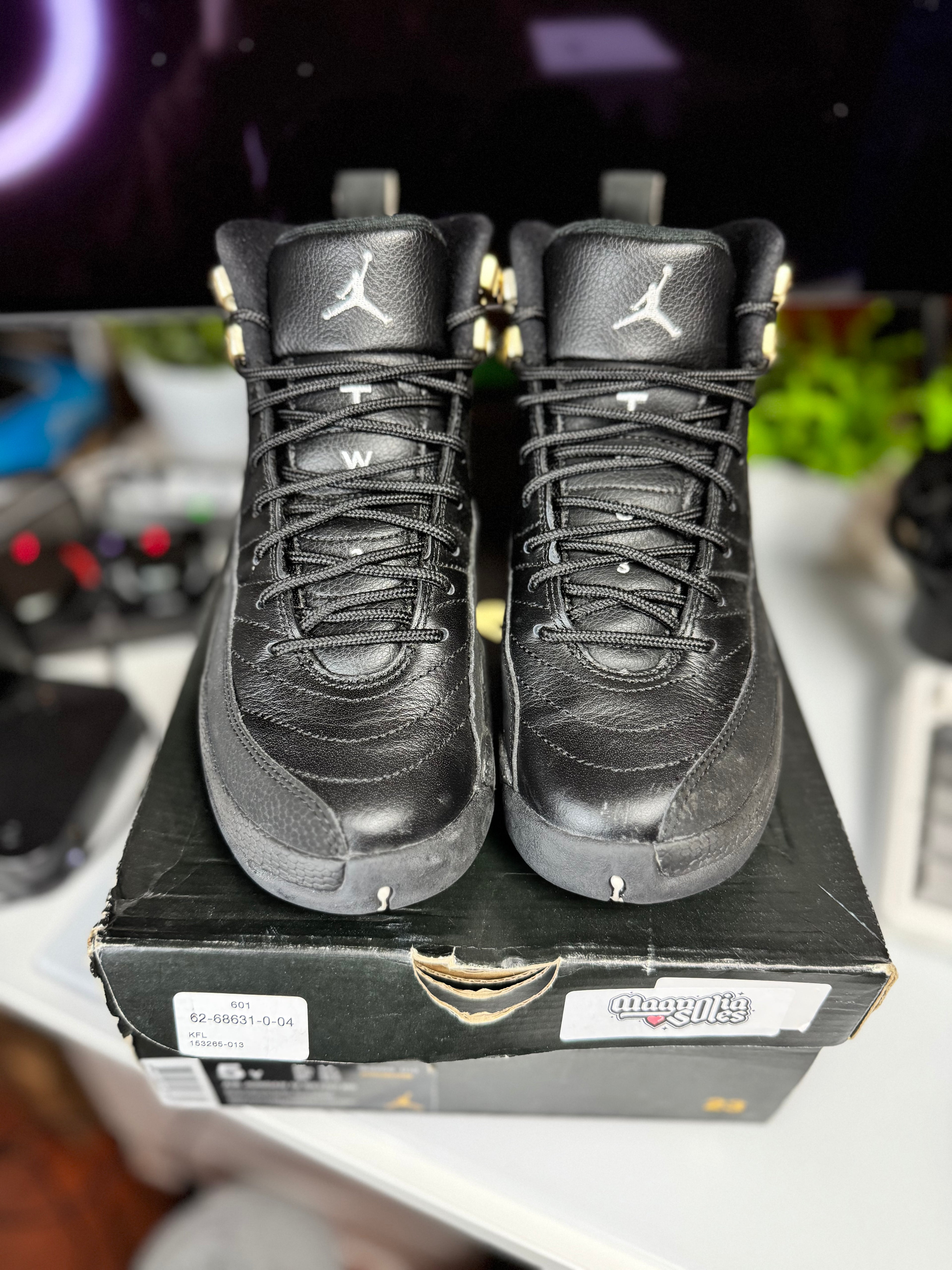 "Master" Air Jordan Retro 12 (GS)
