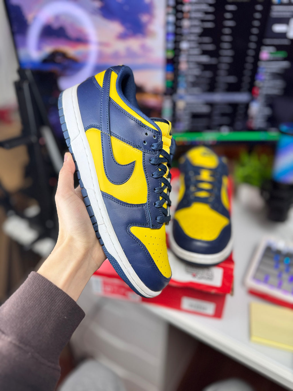 "Michigan" Nike Dunk Low