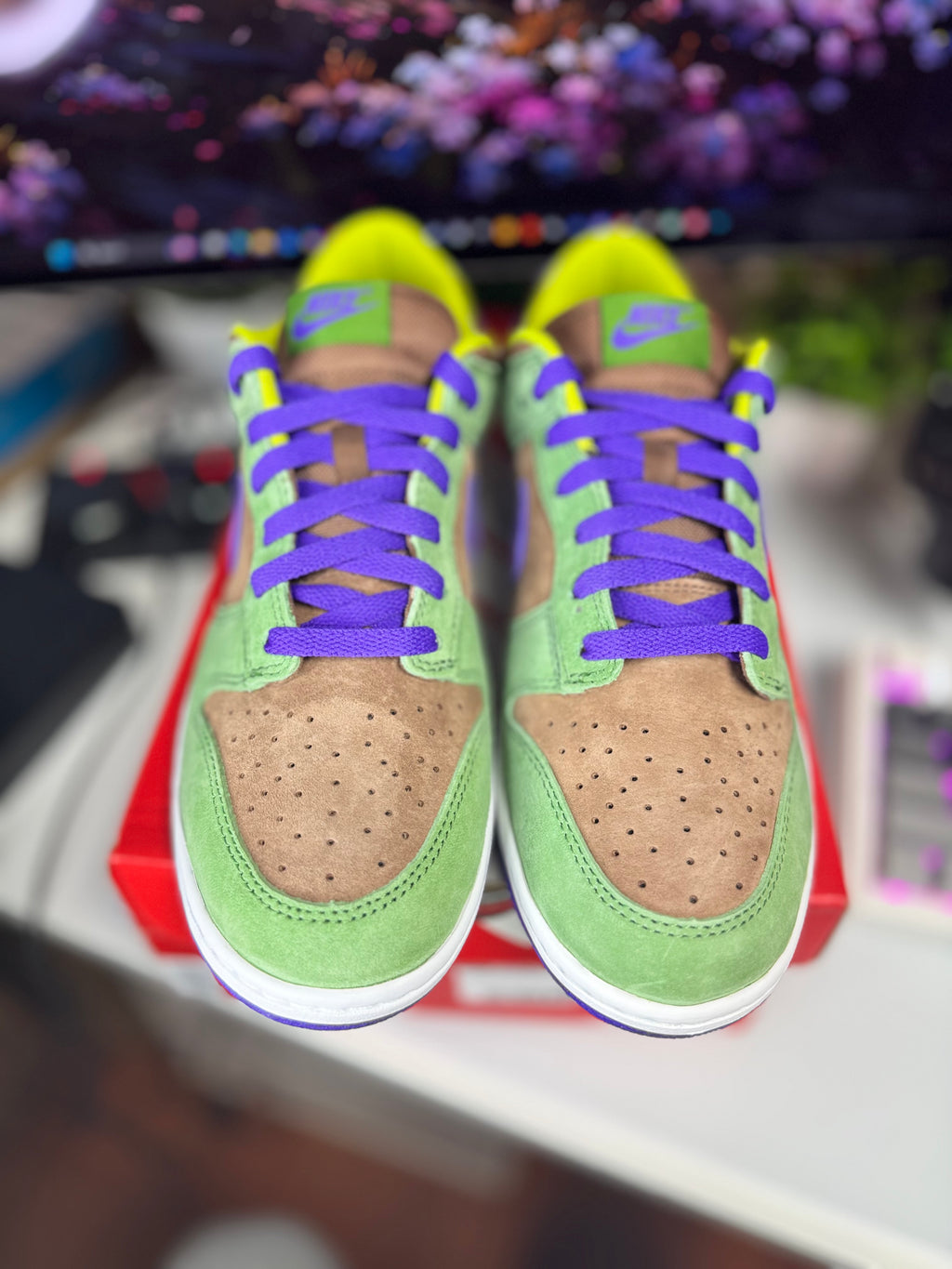 "Veneer" Nike Dunk Low