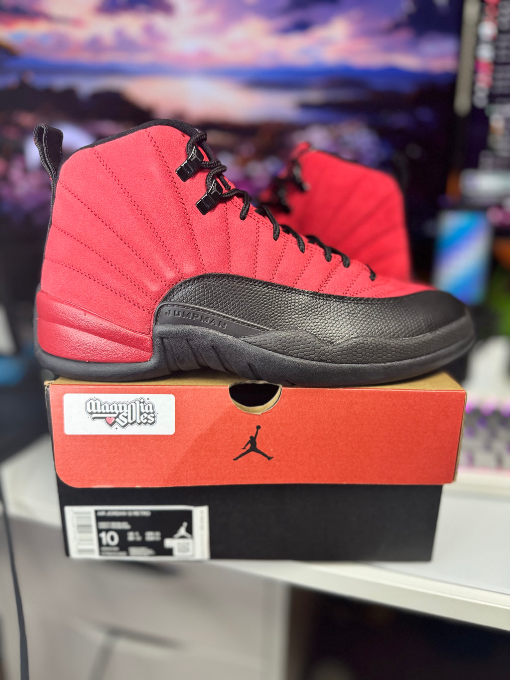 “Reverse Flu Game” Air Jordan Retro 12