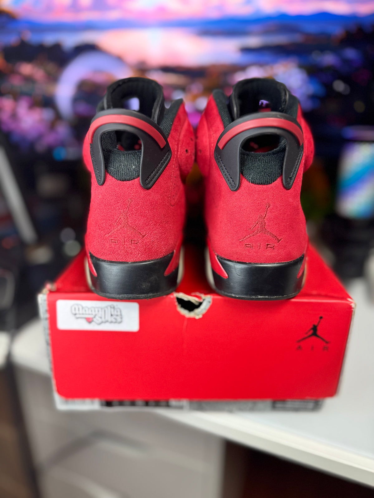 "Toro Bravo" Air Jordan Retro 6