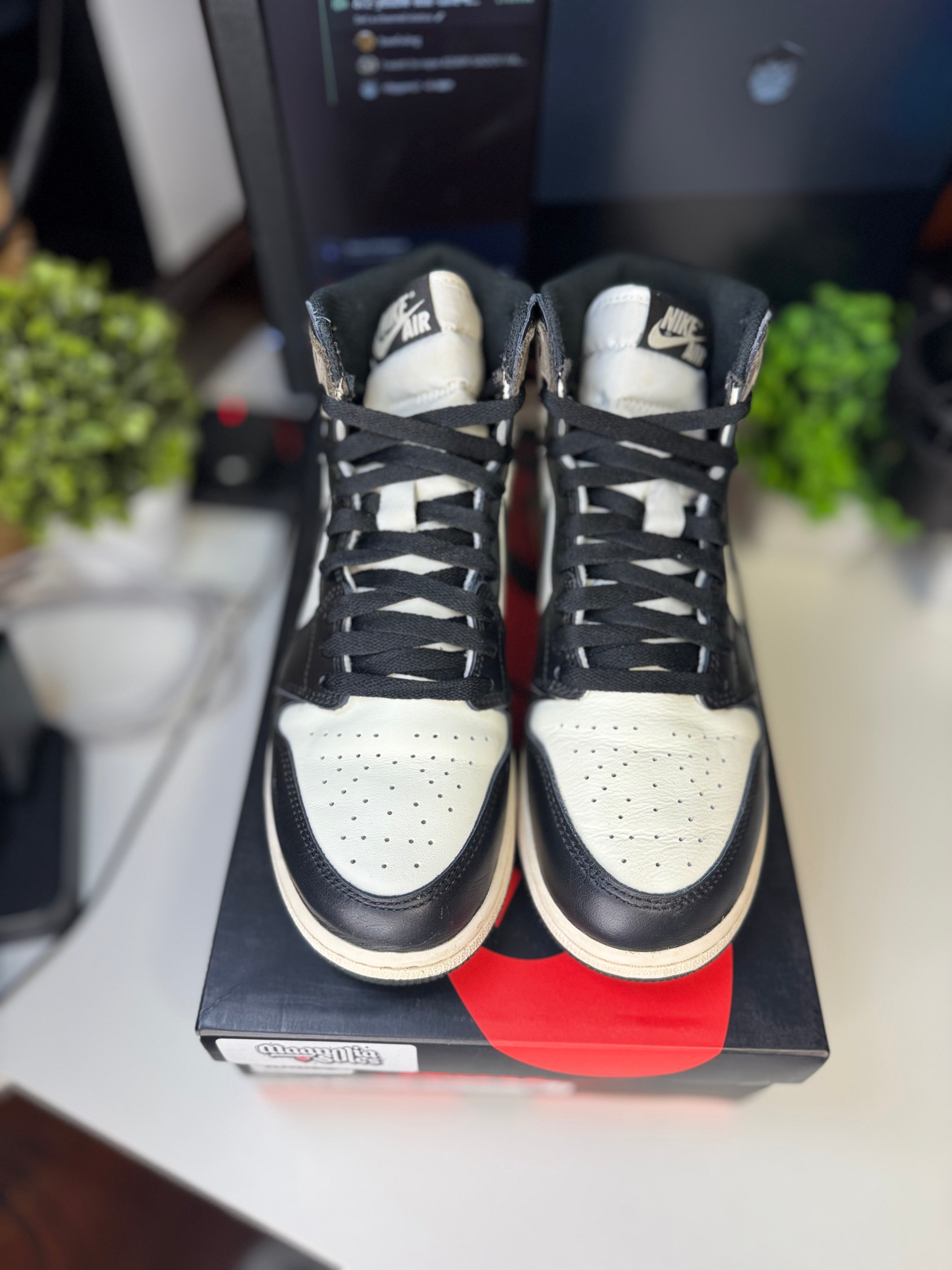 "Mocha" Air Jordan Retro 1 (GS)