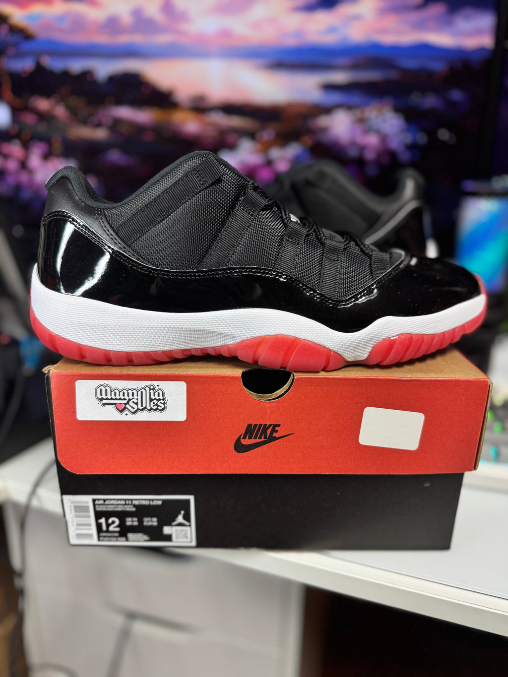 "Bred" Air Jordan Retro 11 Low