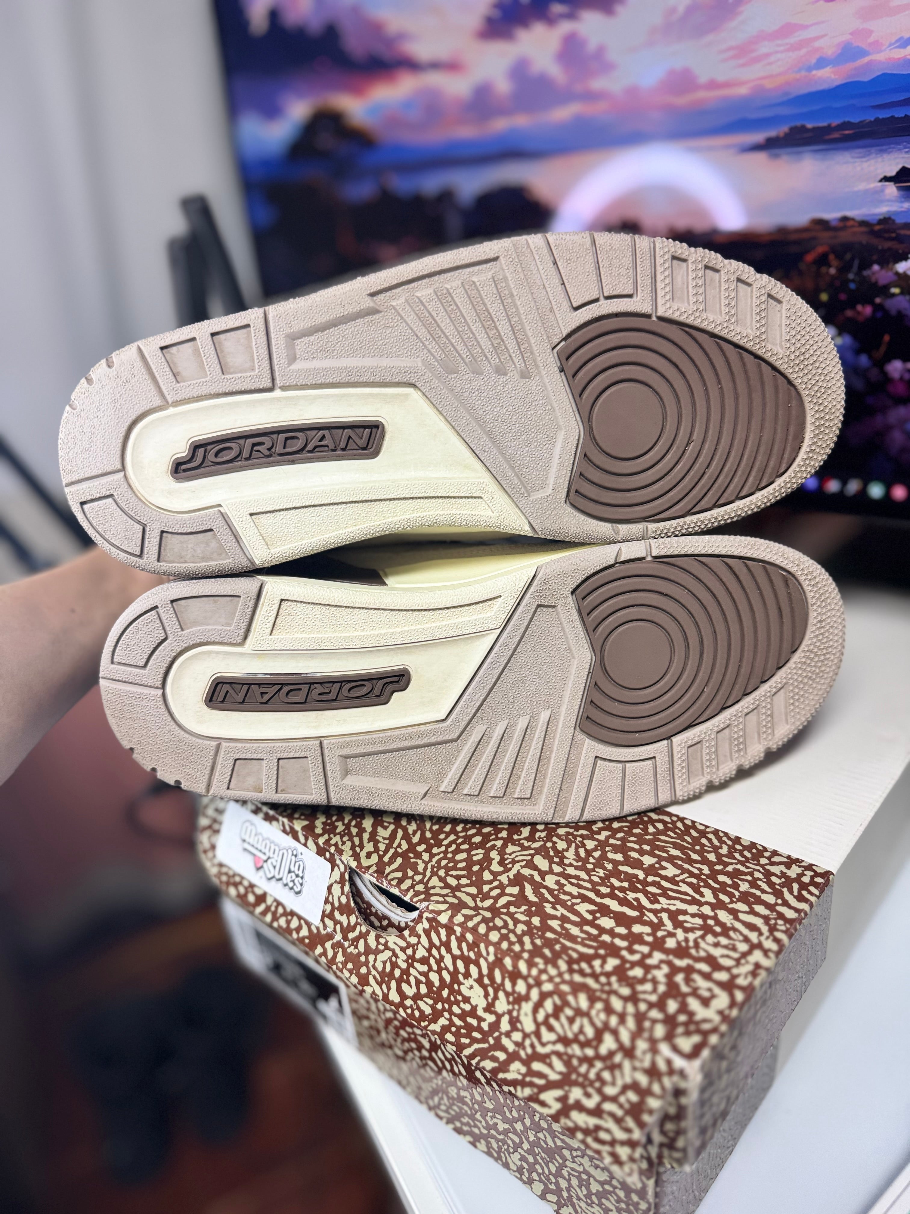 “Palomino” Air Jordan Retro 3