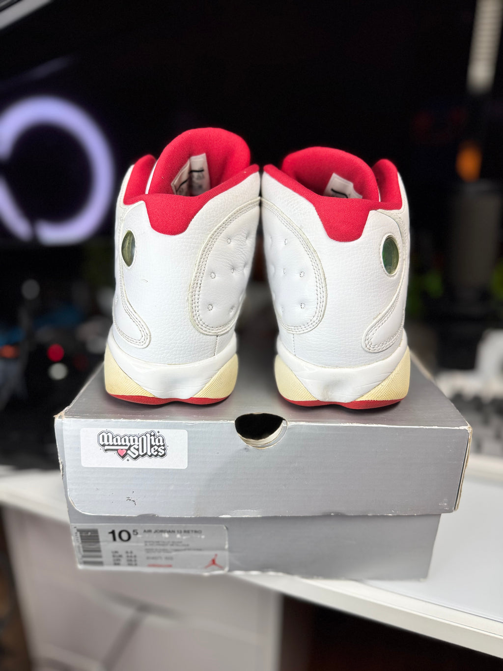 "Alternate History of Flight" Air Jordan Retro 13