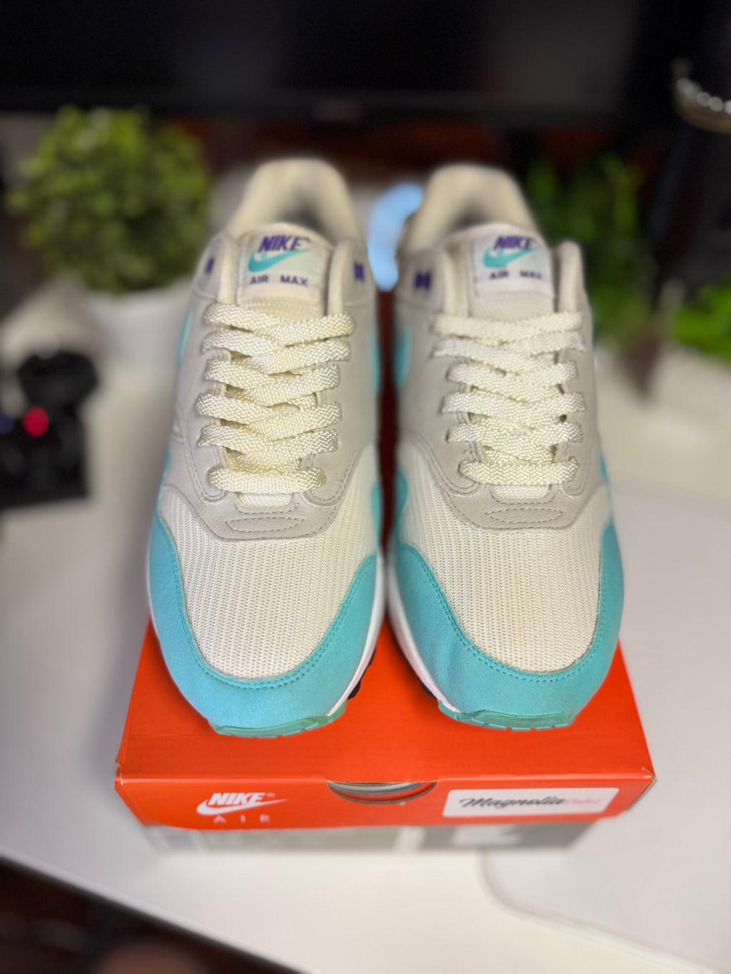 “Aqua” Nike Air Max 1 Anniversary