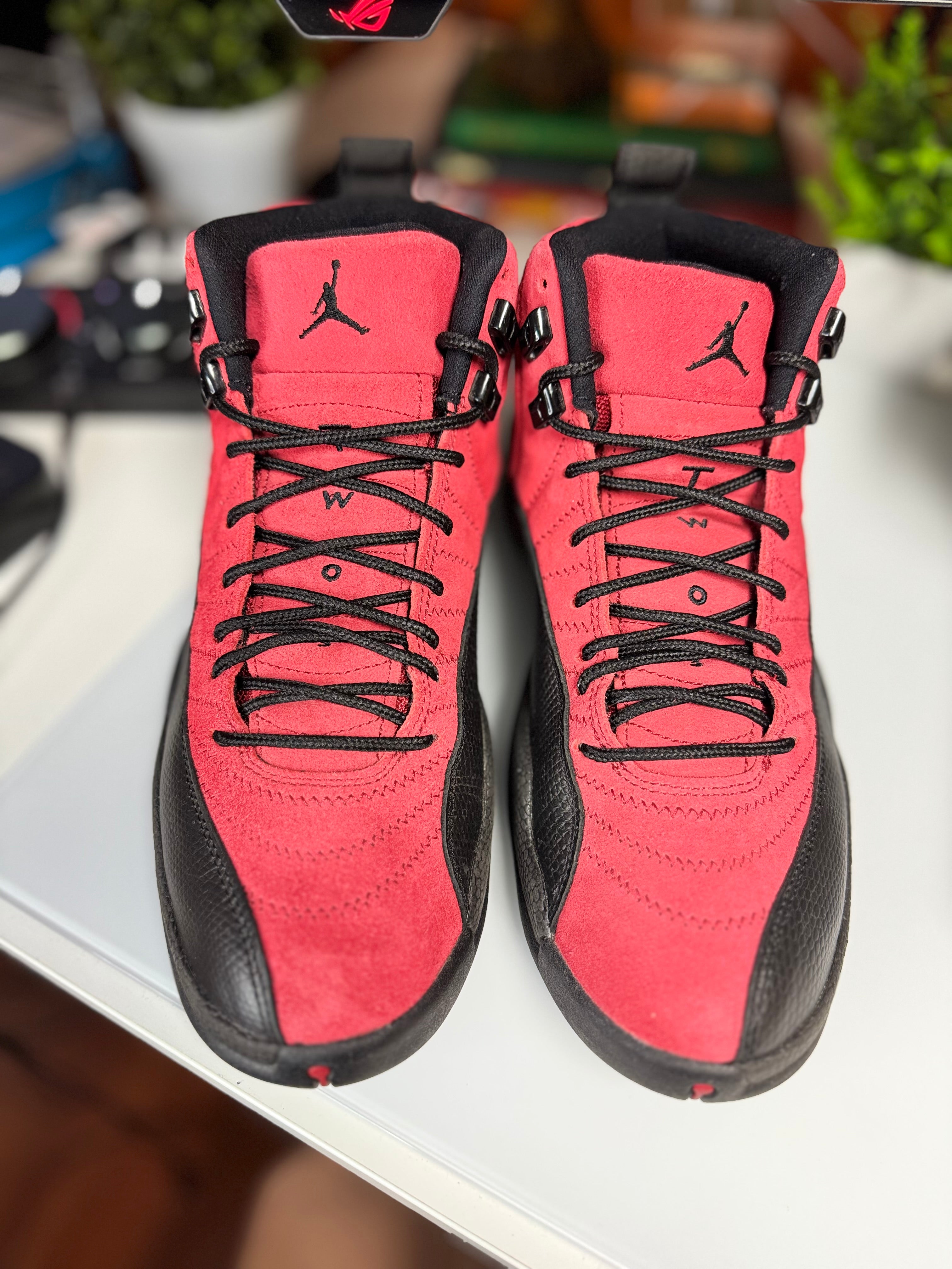 “Reverse Flu Game” Air Jordan Retro 12