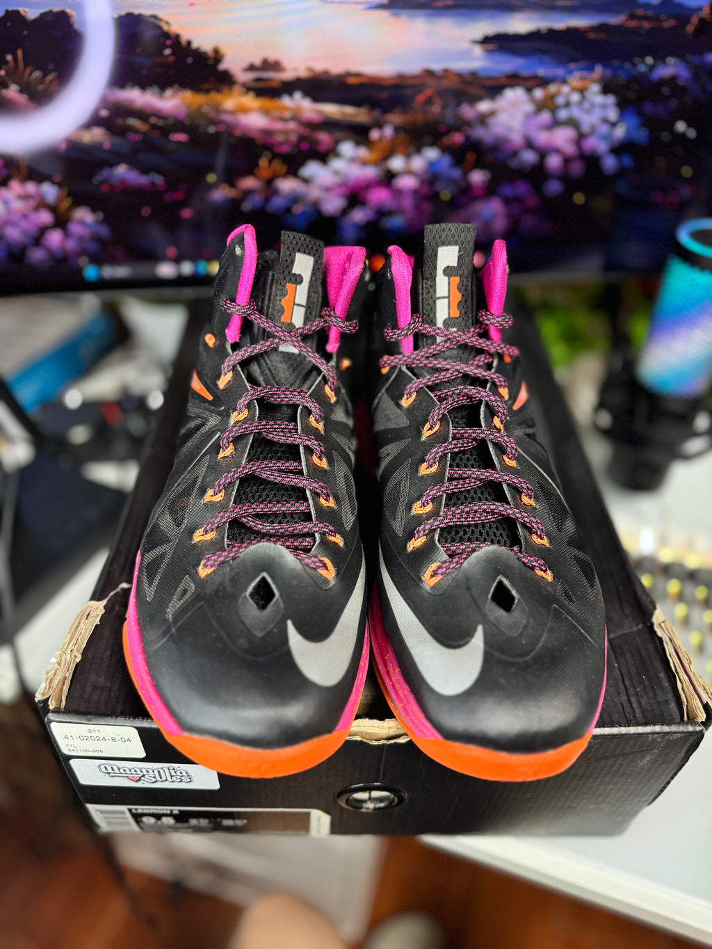 "Floridian" Nike Lebron X