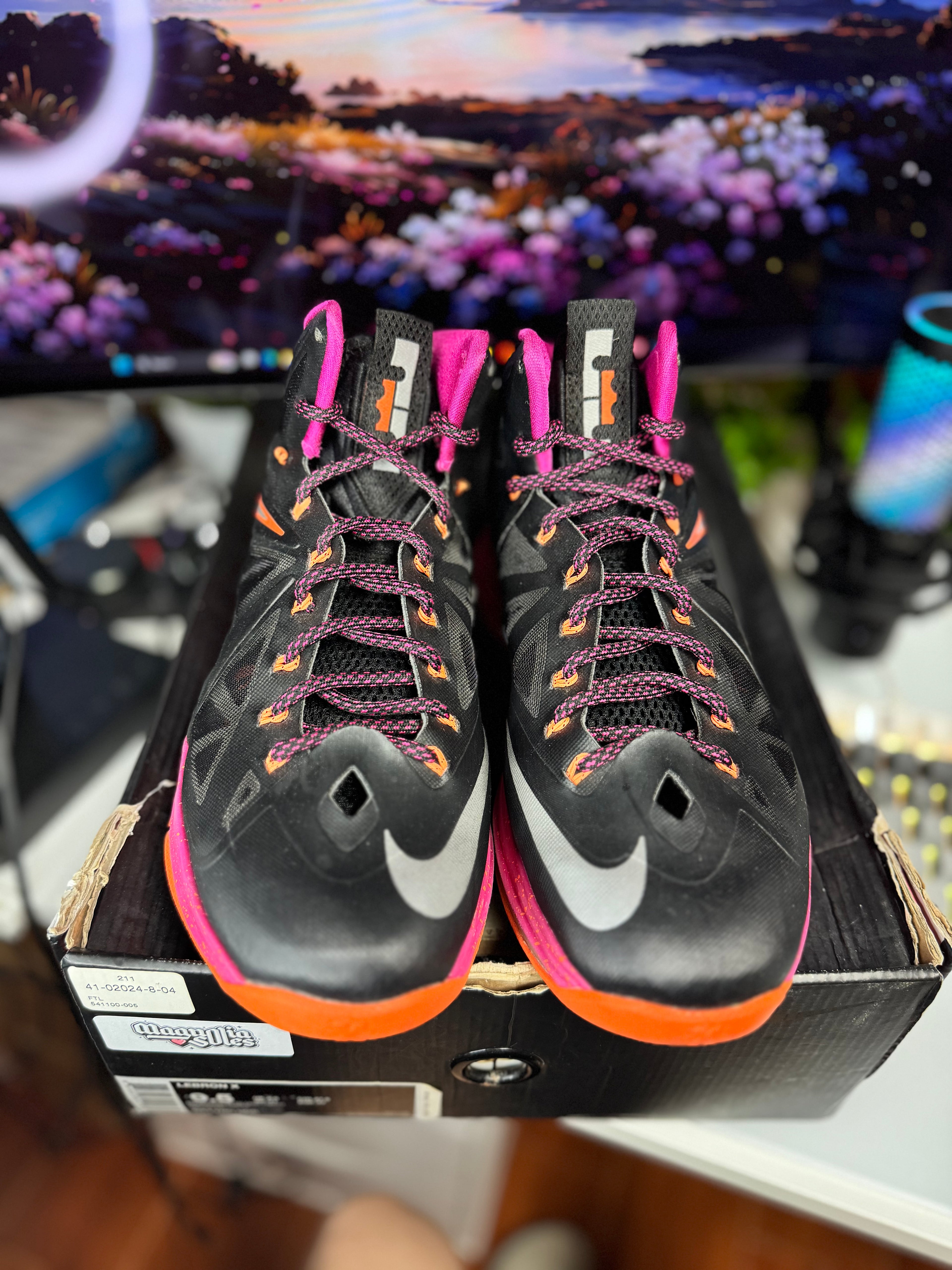 "Floridian" Nike Lebron X