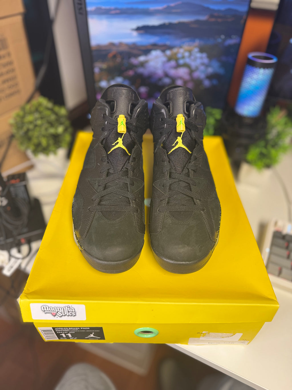 "Brazil" Air Jordan Retro 6