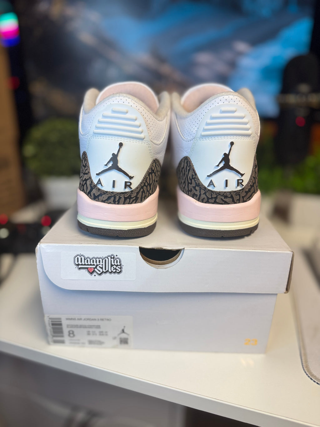 "Neapolitan" Air Jordan Retro 3 (WMNS)