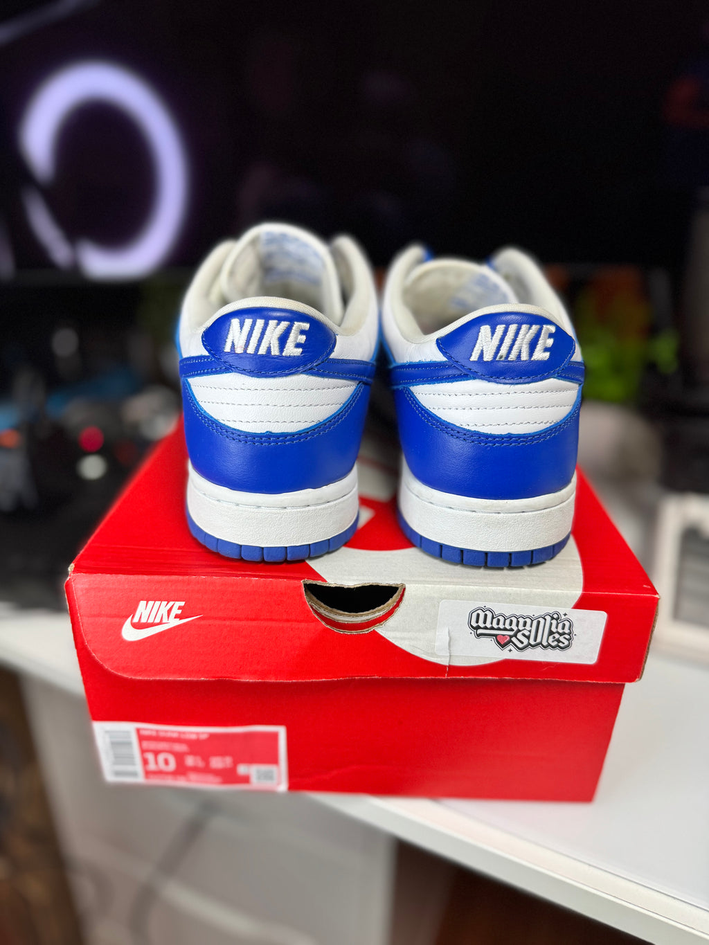 "Kentucky" Nike Dunk Low