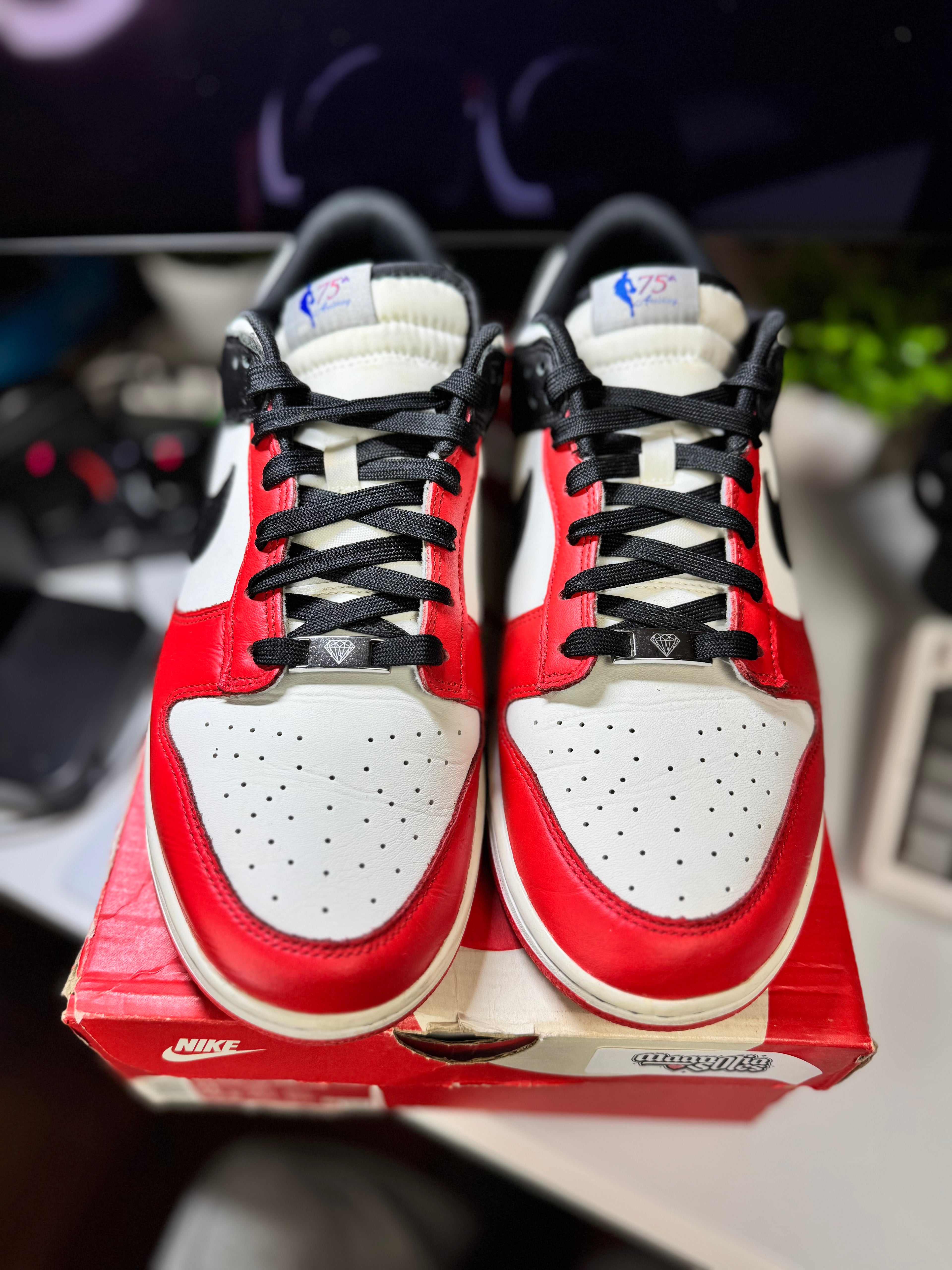 "Chicago Bulls EMB" Nike Dunk Low