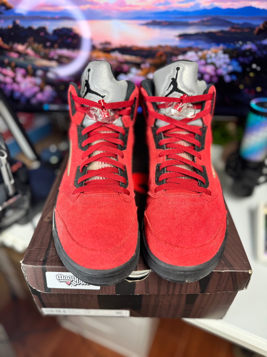 "Raging Bull" Air Jordan Retro 5