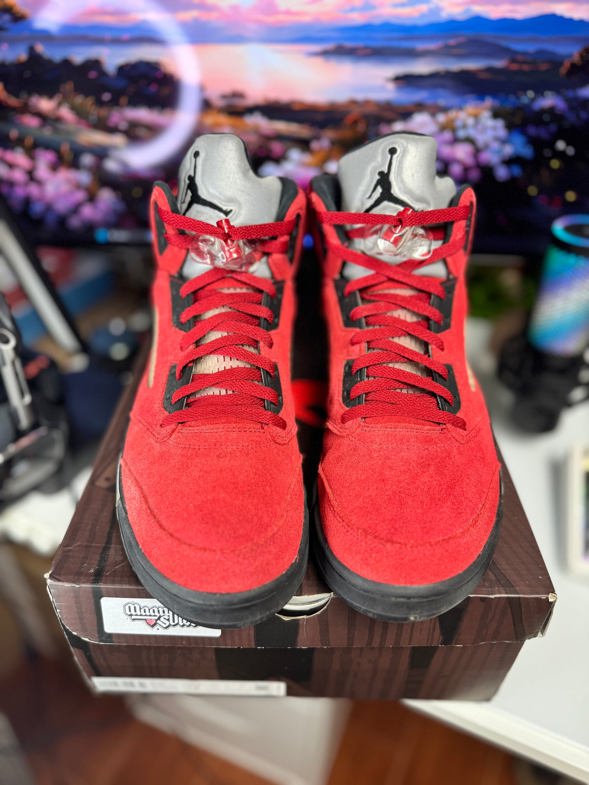 "Raging Bull" Air Jordan Retro 5