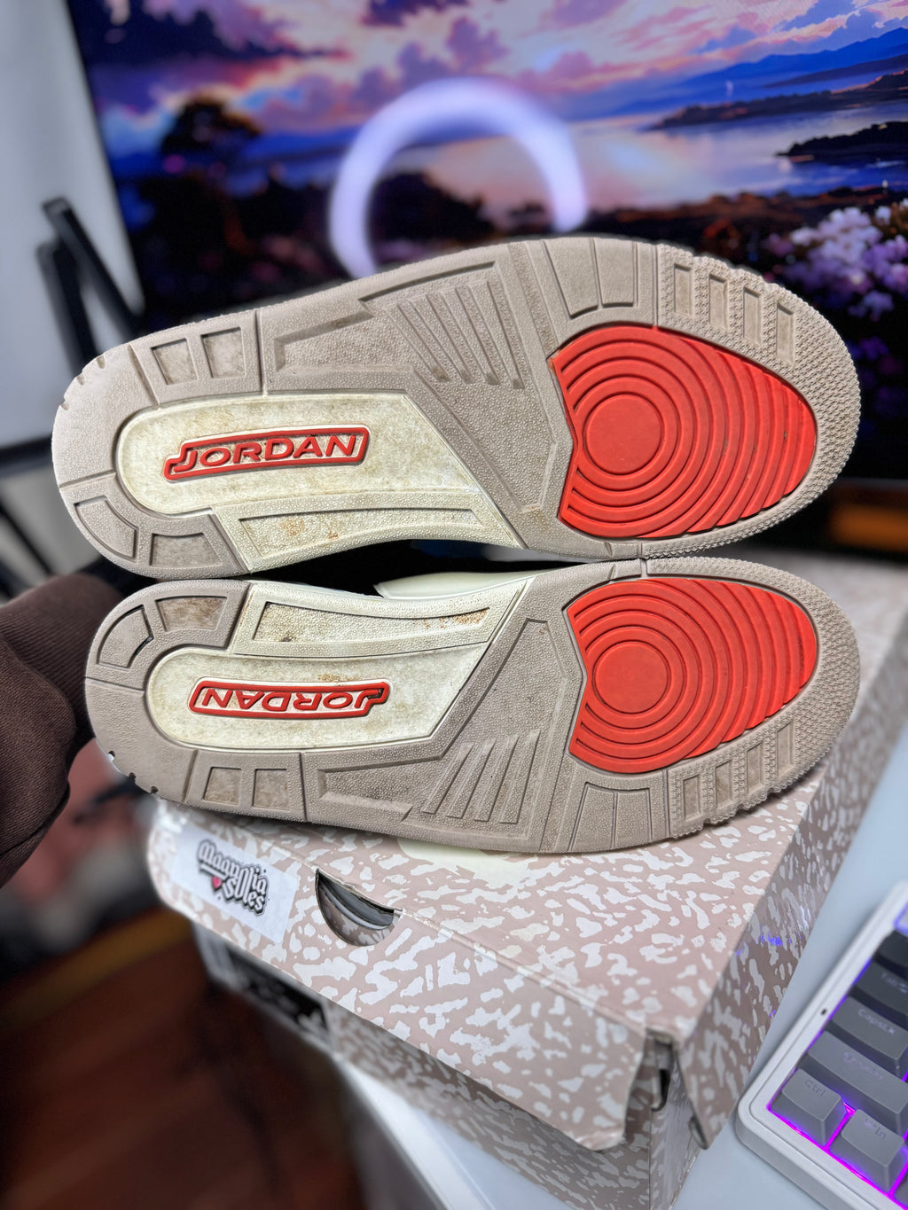 "Desert Elephant" Air Jordan Retro 3
