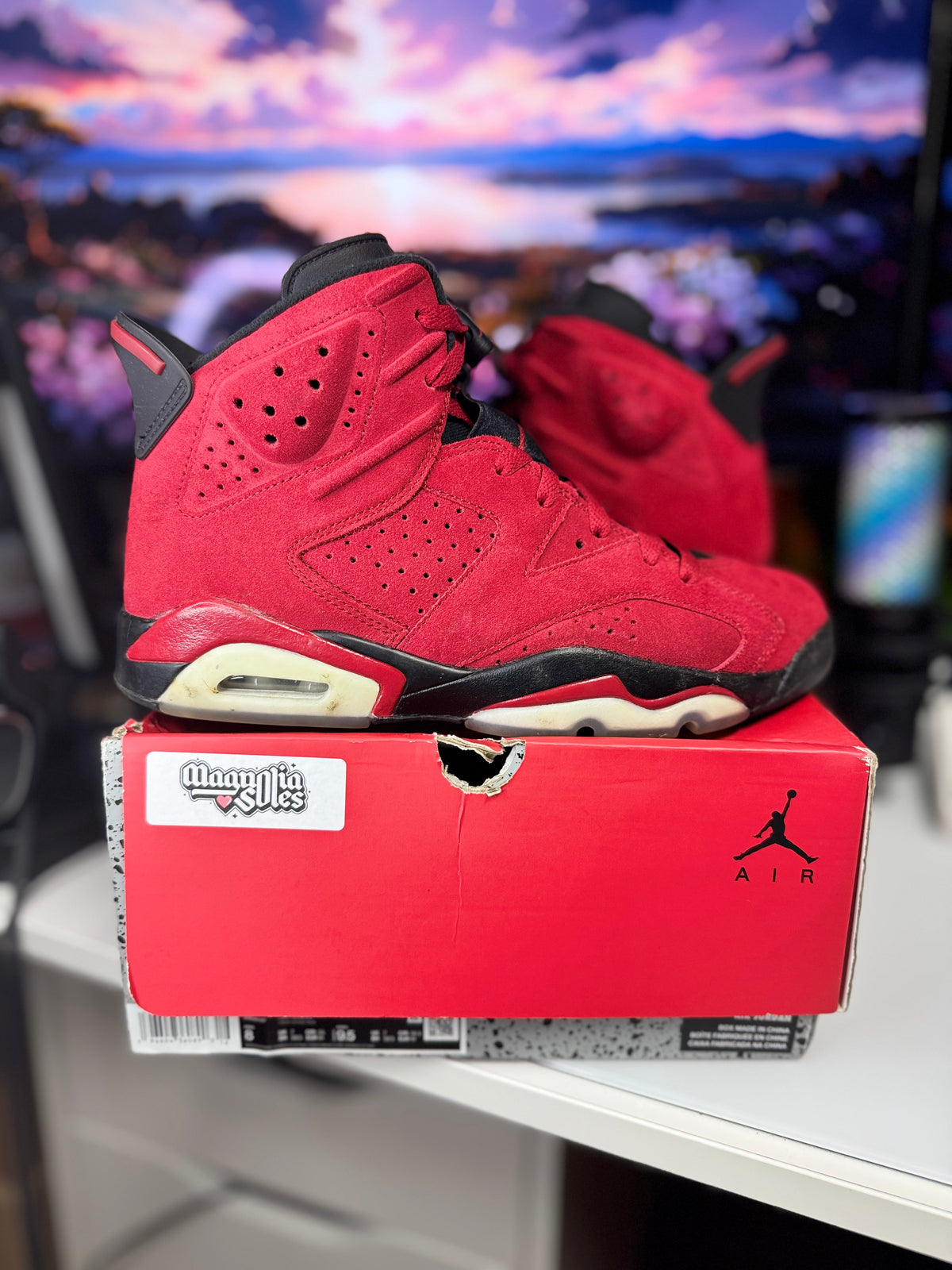 "Toro Bravo" Air Jordan Retro 6