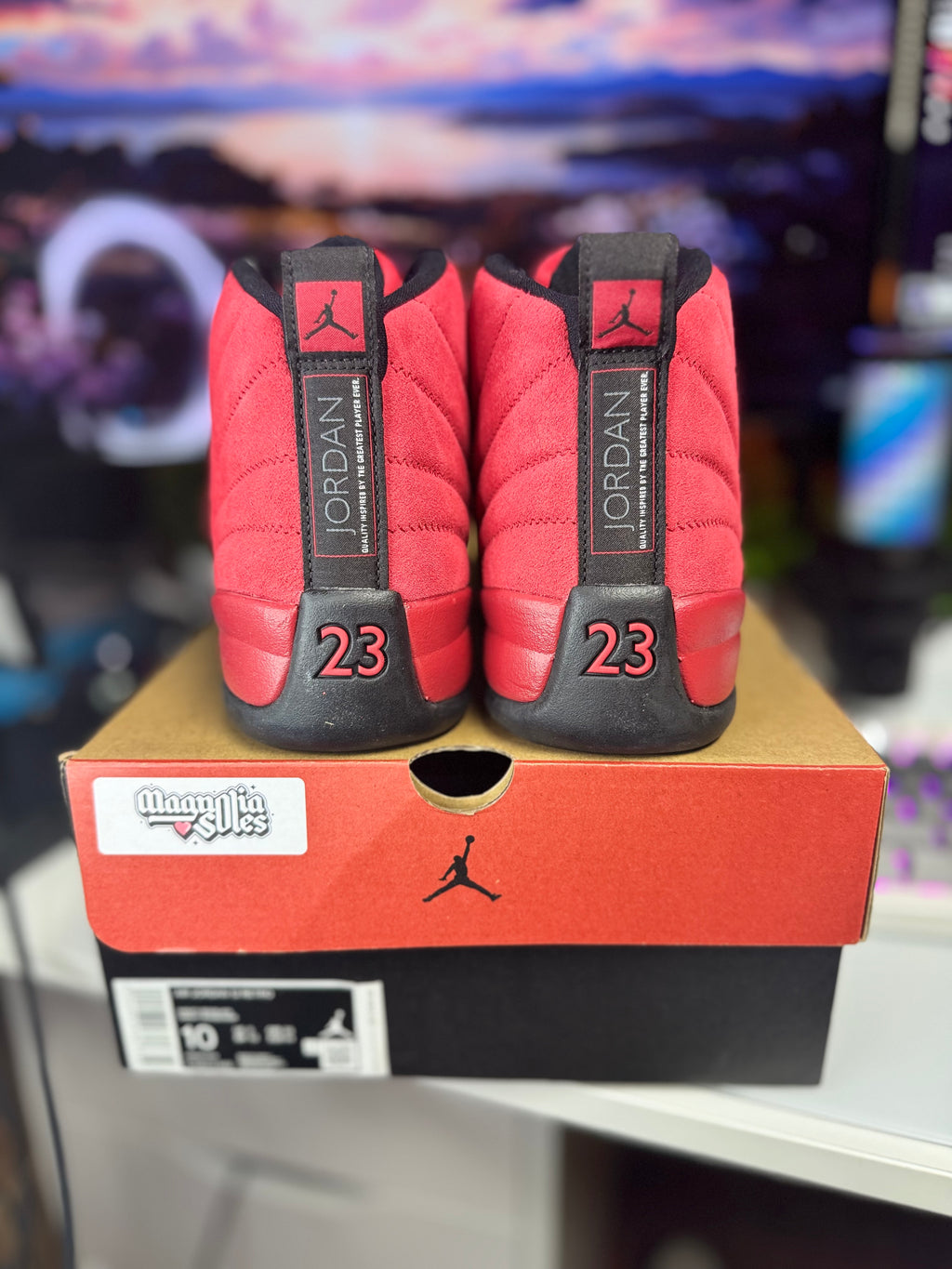 “Reverse Flu Game” Air Jordan Retro 12
