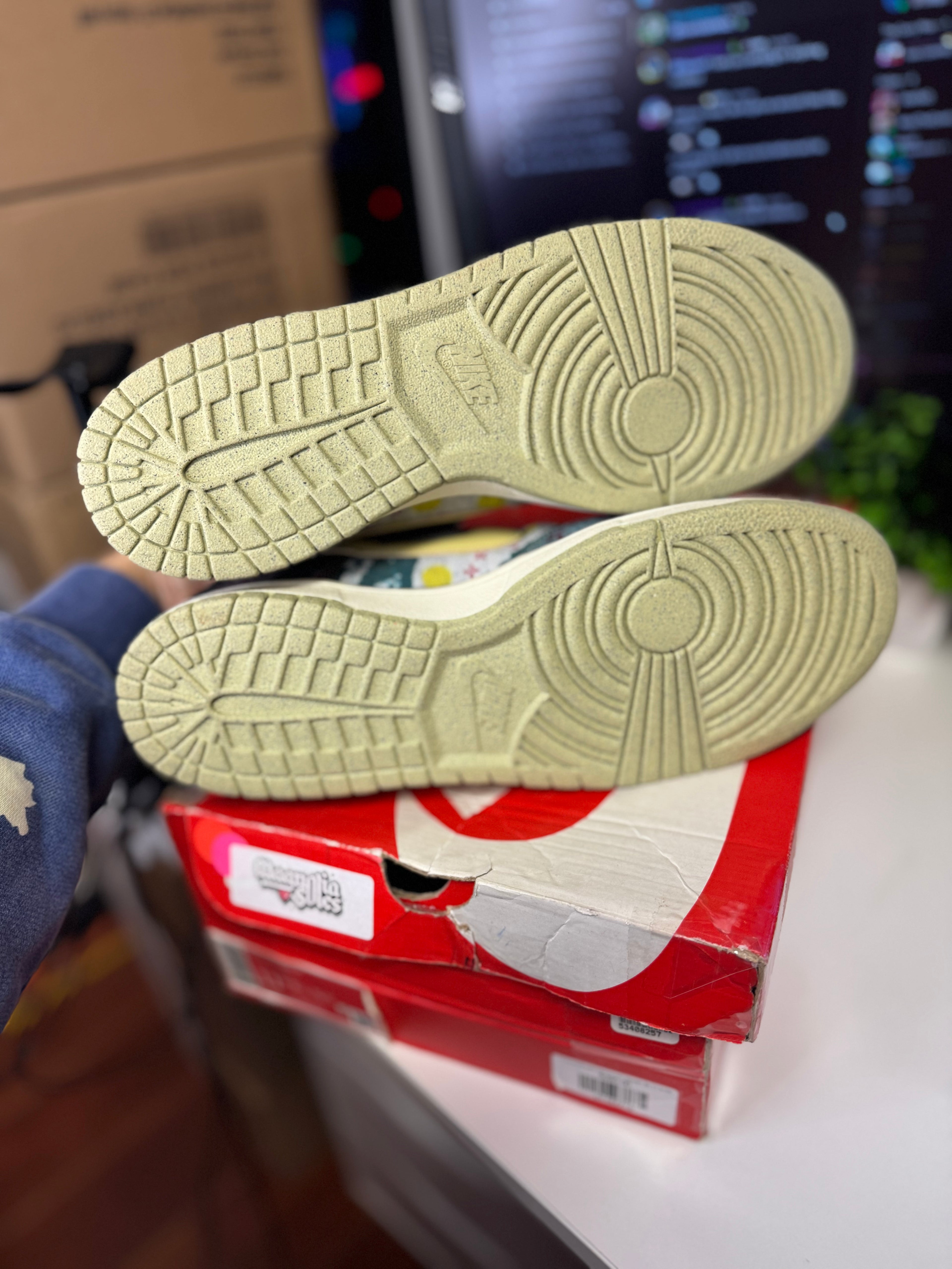 "Community Garden" Nike Dunk Low