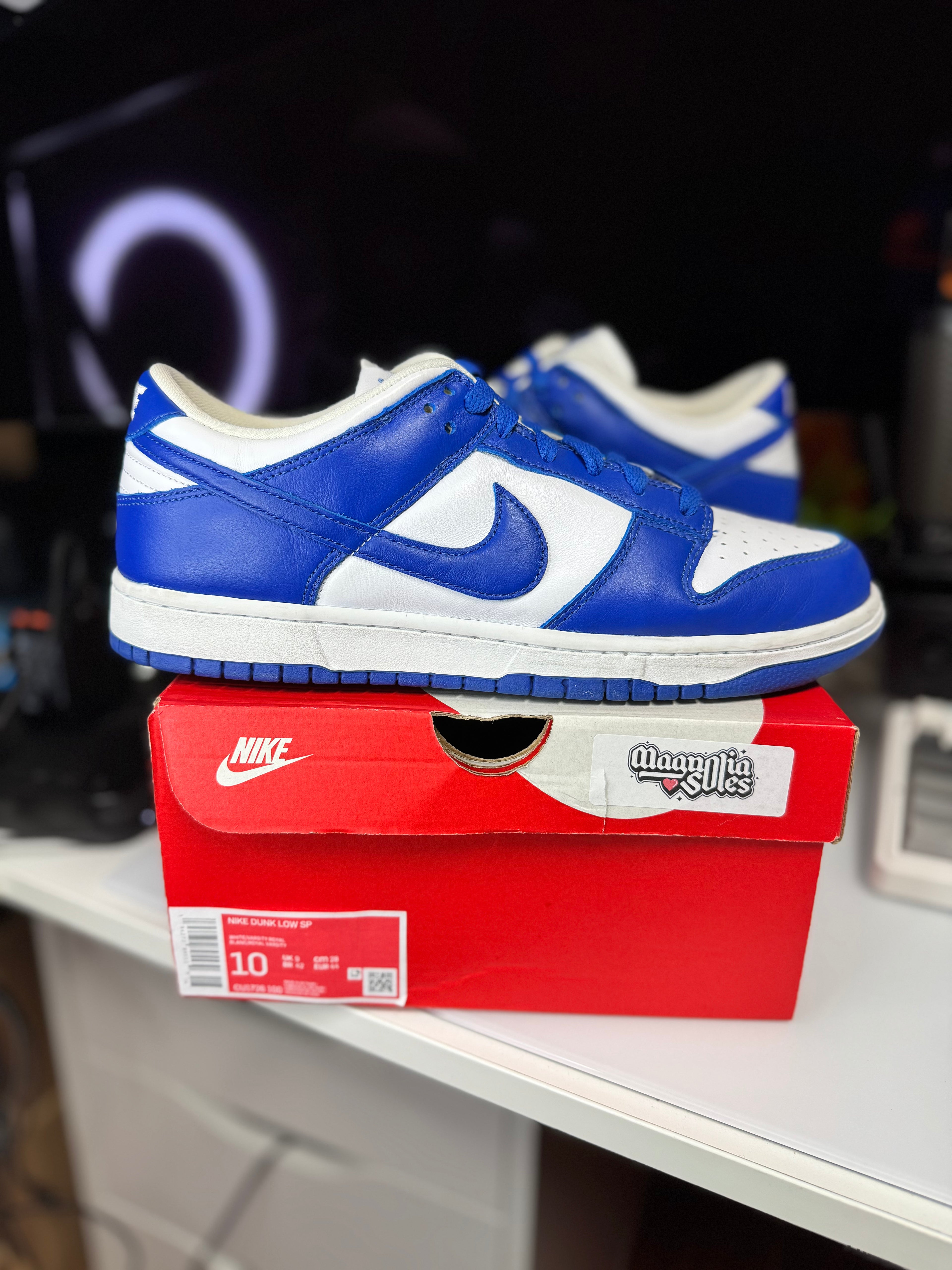 "Kentucky" Nike Dunk Low
