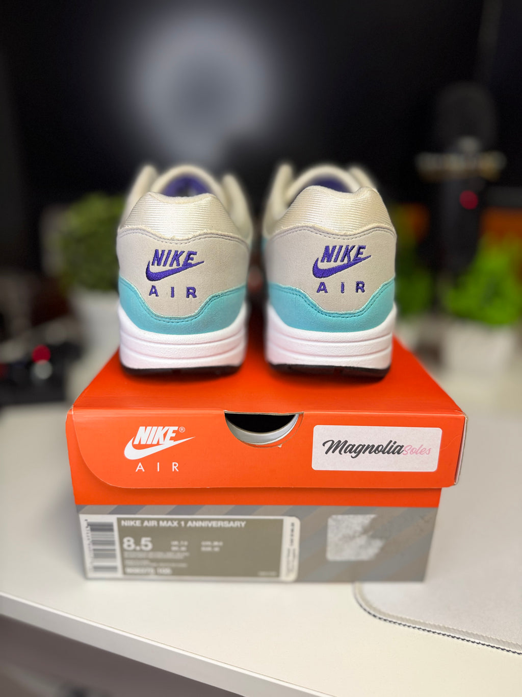 “Aqua” Nike Air Max 1 Anniversary