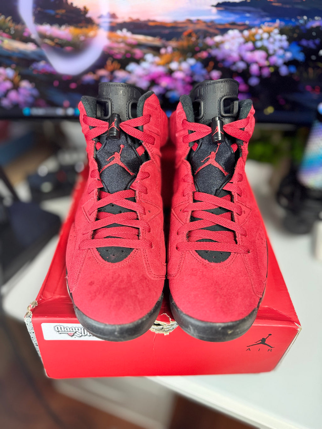 "Toro Bravo" Air Jordan Retro 6