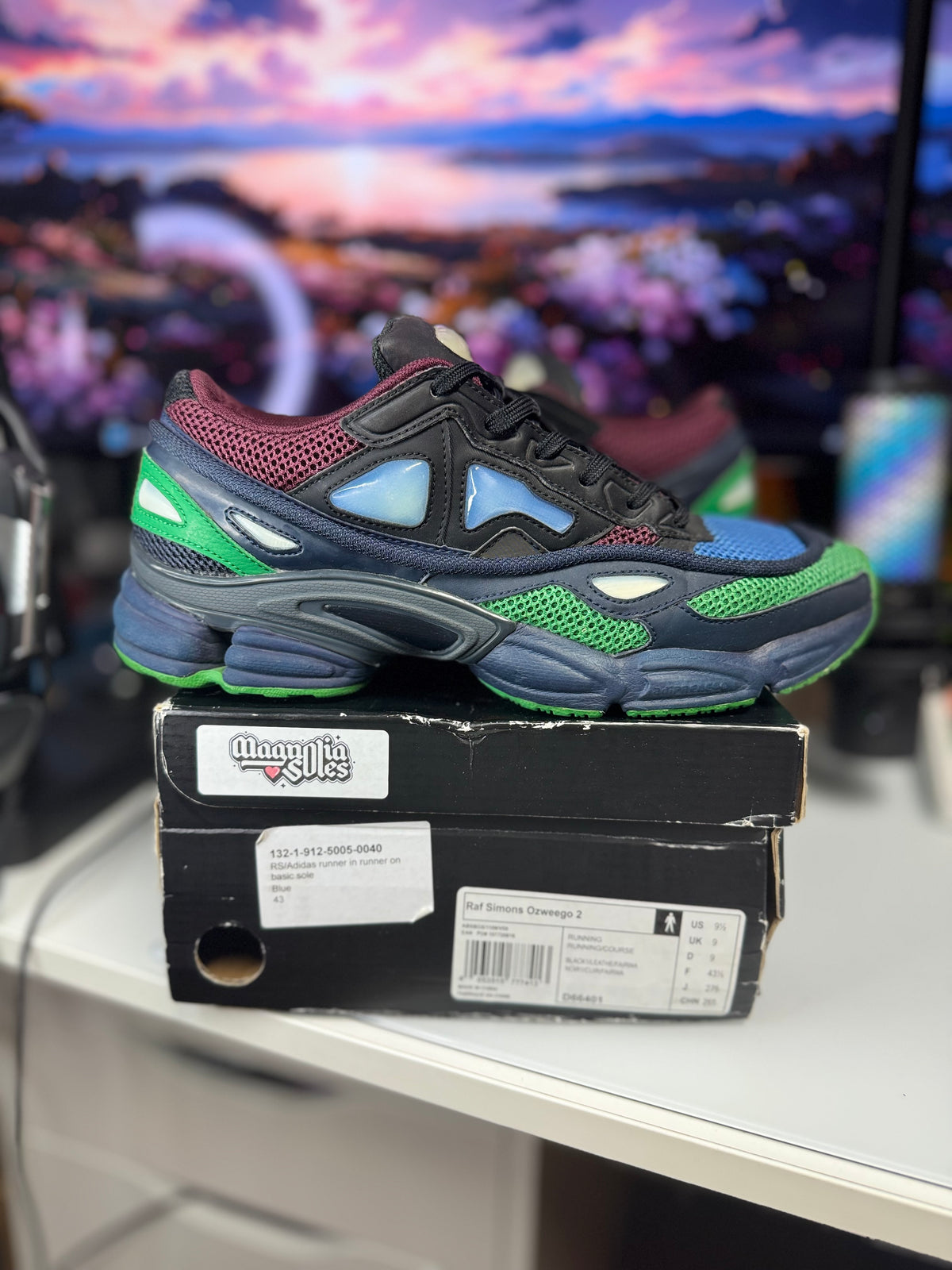 "Multicolor" Adidas Raf Simons Ozweego