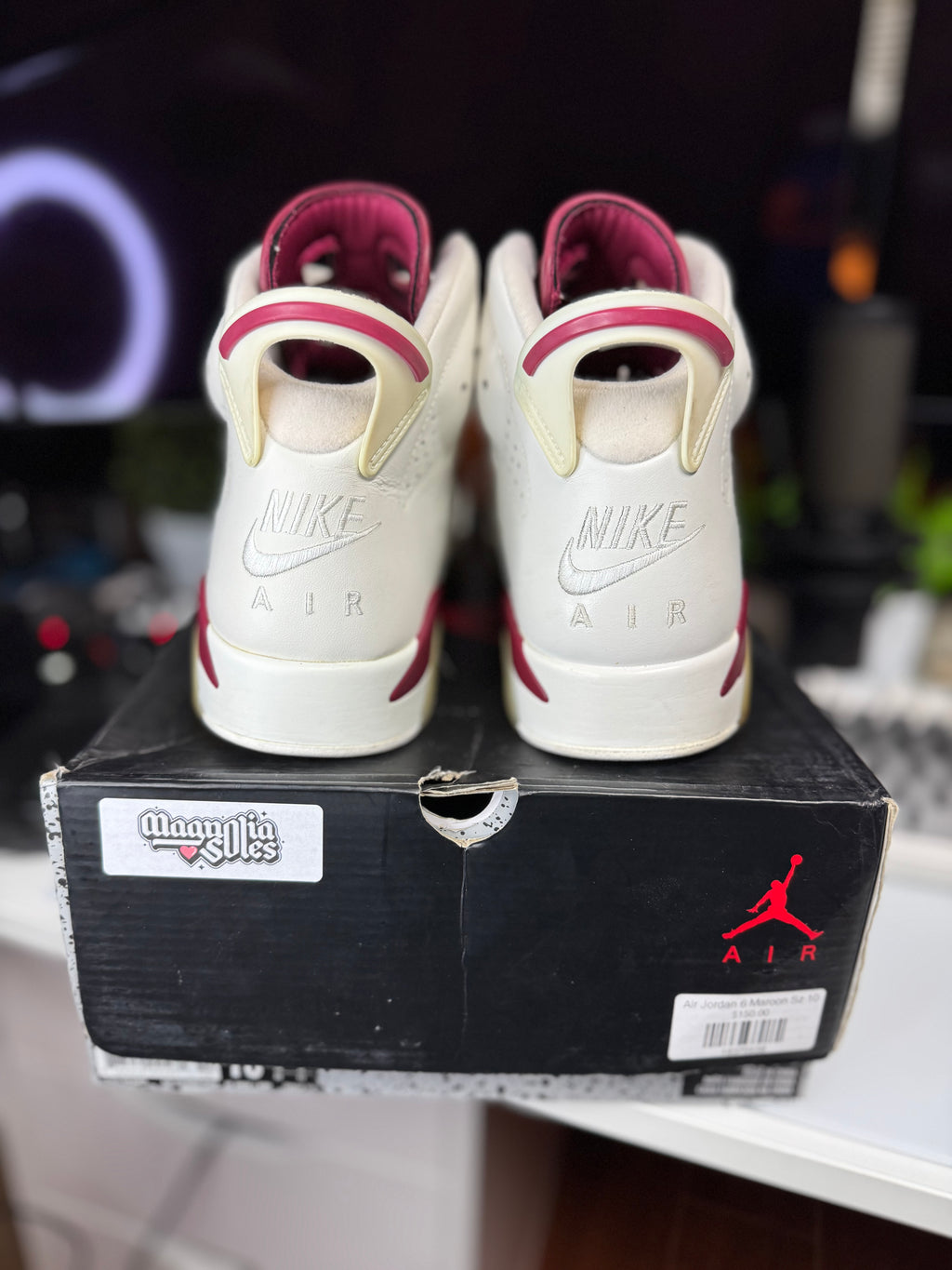 "Maroon" Air Jordan Retro 6