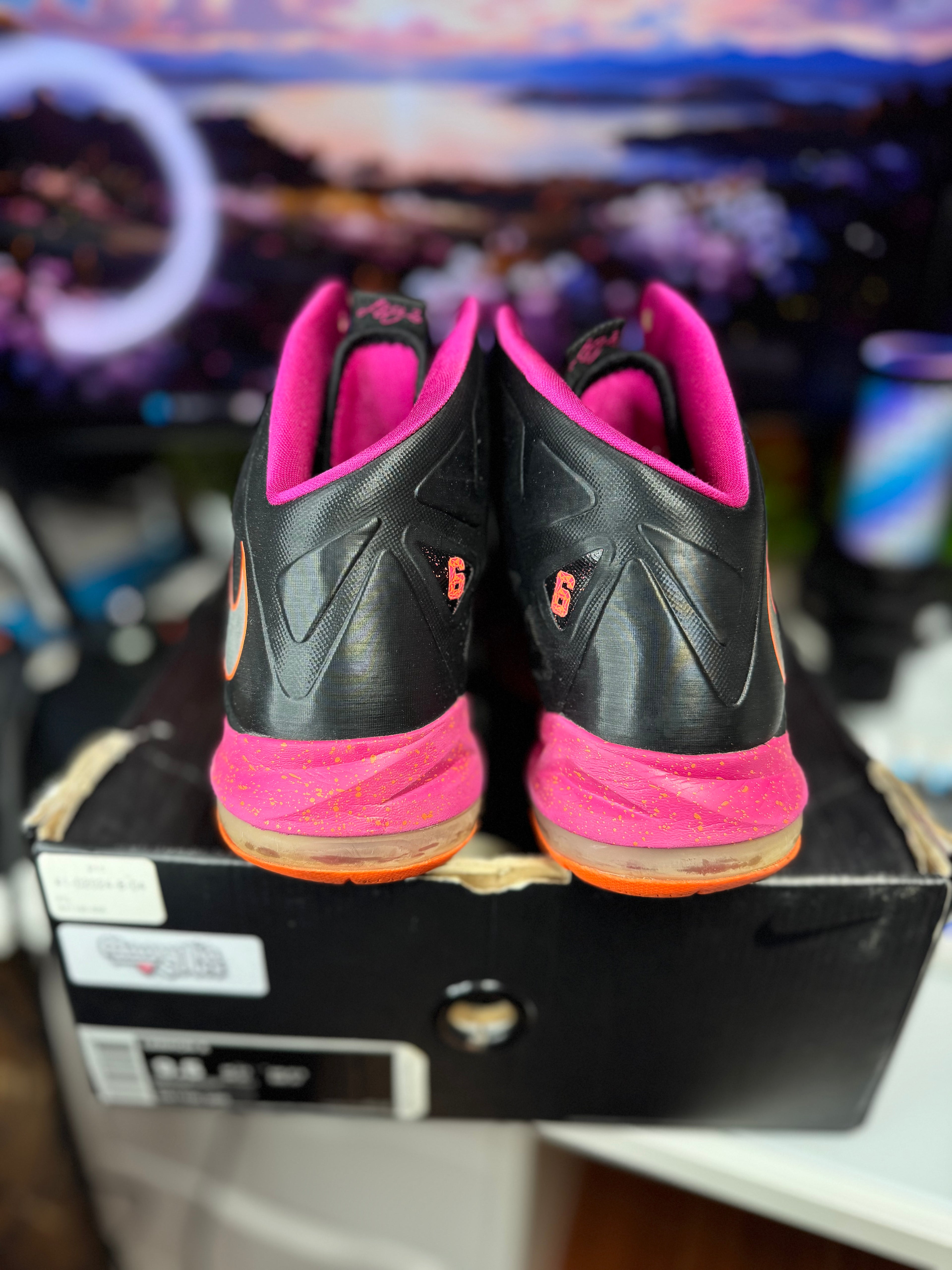 "Floridian" Nike Lebron X