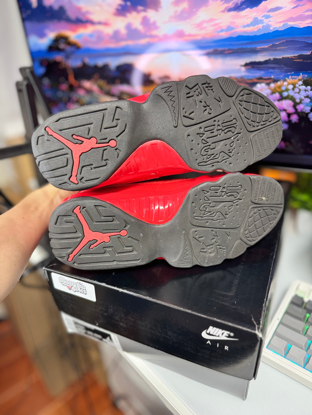 "Chile Red" Air Jordan Retro 9