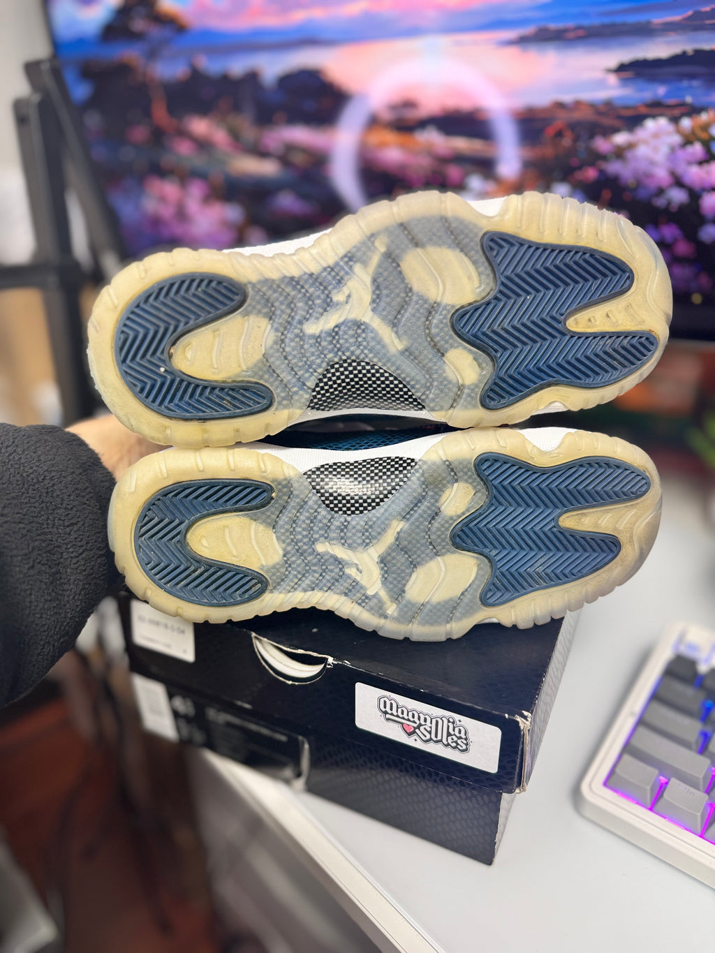 “Navy Snakeskin” Air Jordan Retro 11 Low (GS)