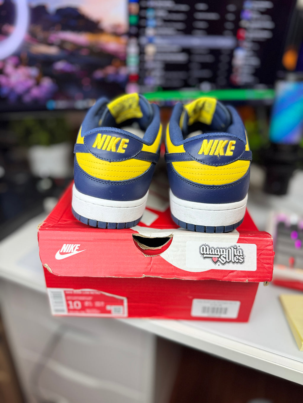 "Michigan" Nike Dunk Low