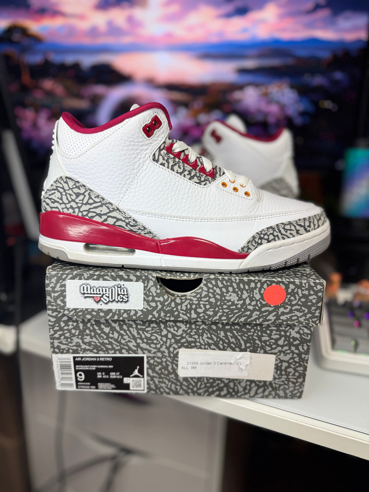 "Cardinal Red" Air Jordan Retro 3