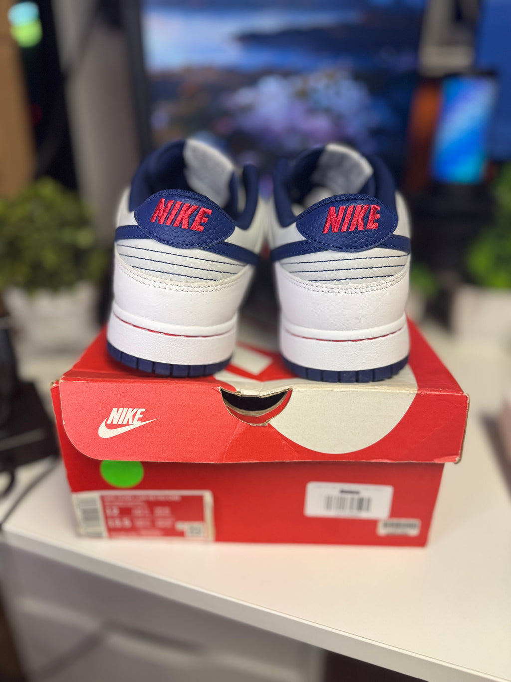 "Brooklyn Nets EMB" Nike Dunk Low