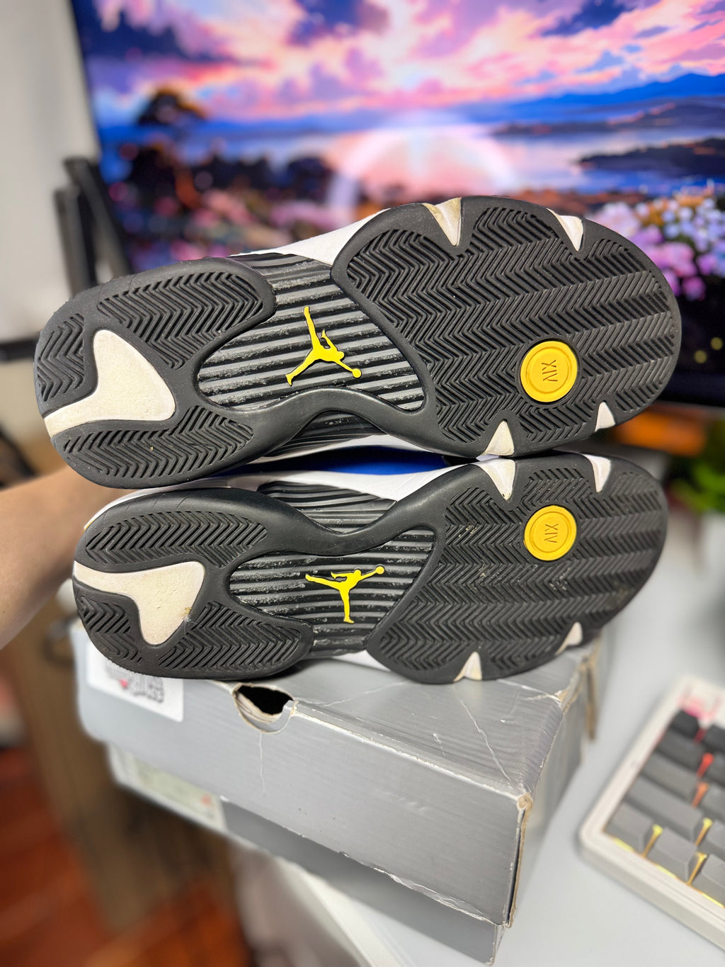 "Laney" Air Jordan Retro 14