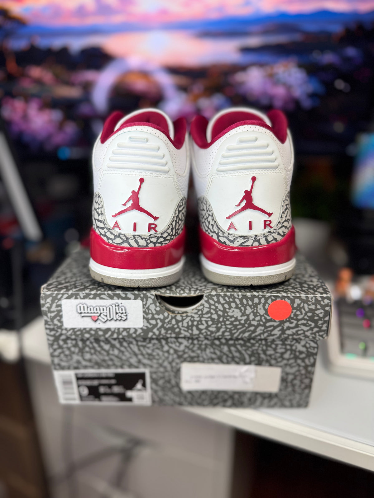 "Cardinal Red" Air Jordan Retro 3