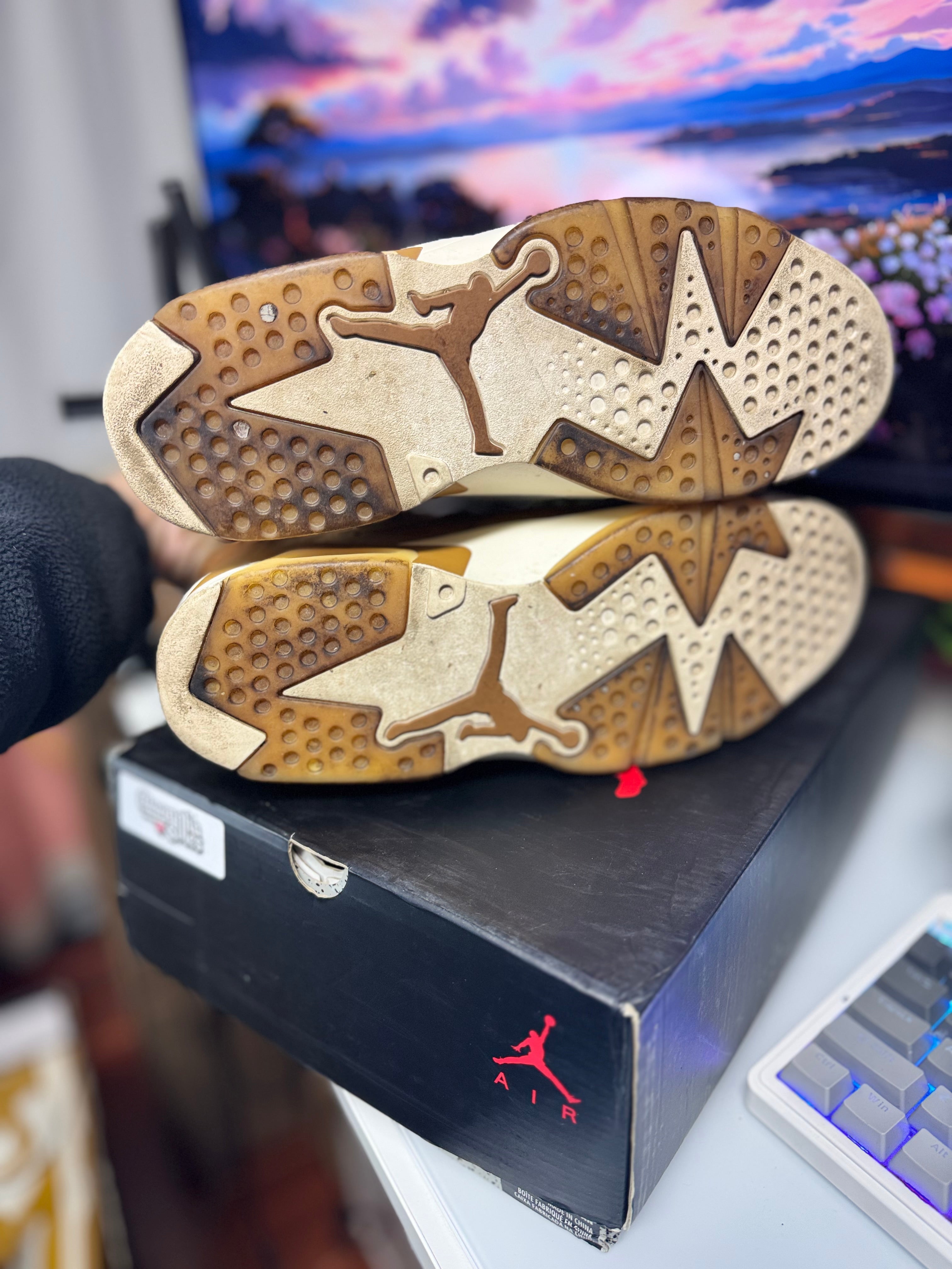 “Wheat” Air Jordan Retro 6