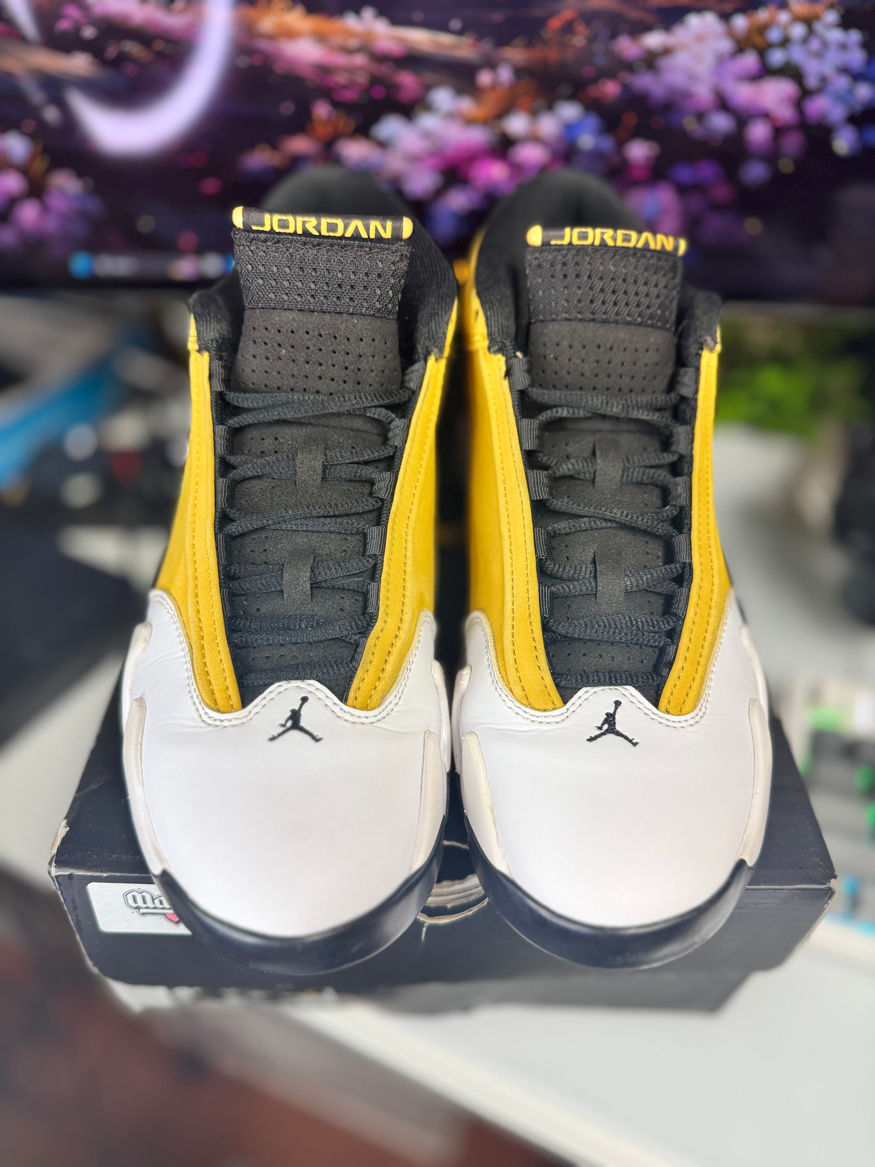 "Ginger" Air Jordan Retro 14
