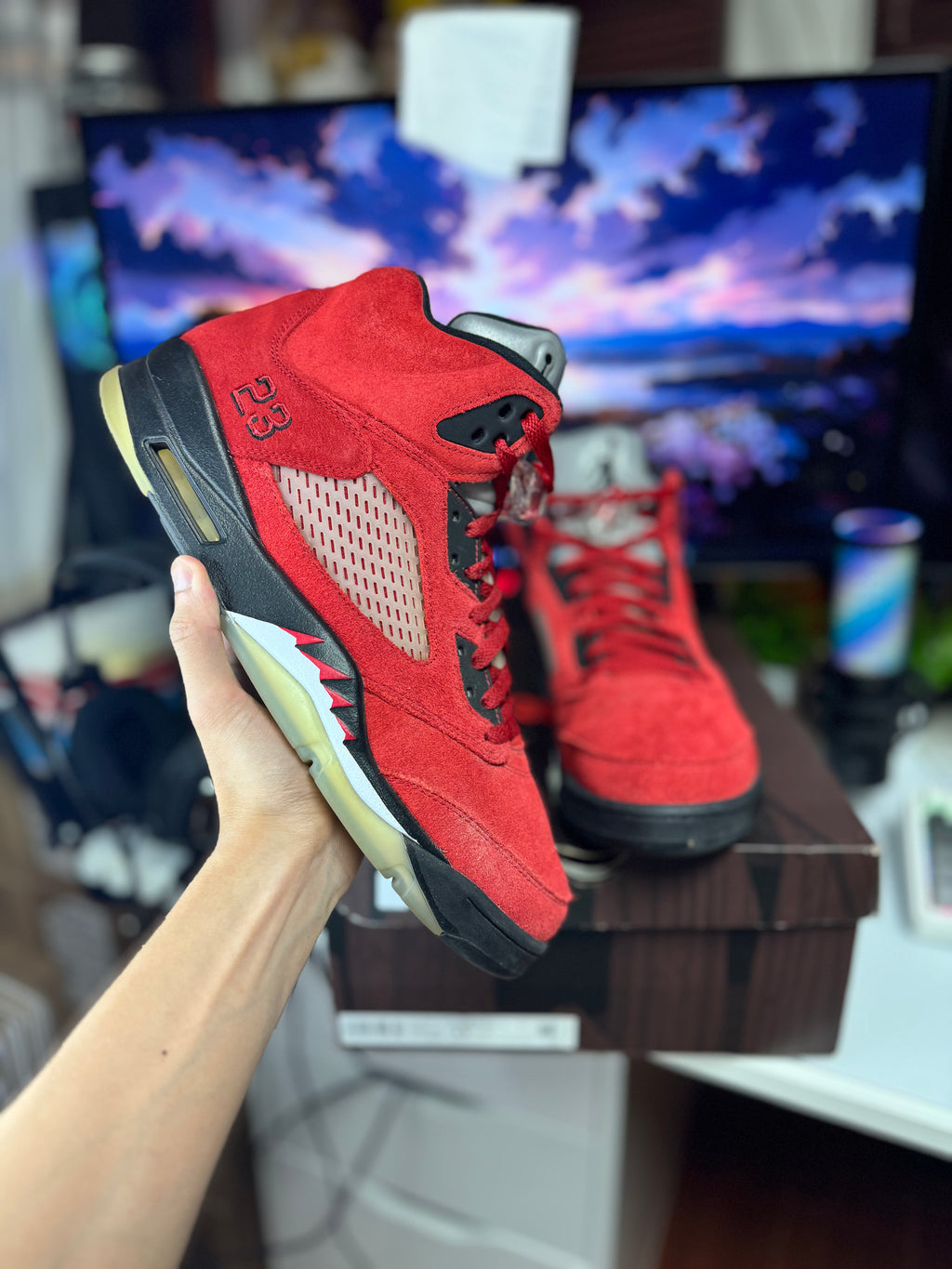 "Raging Bull" Air Jordan Retro 5