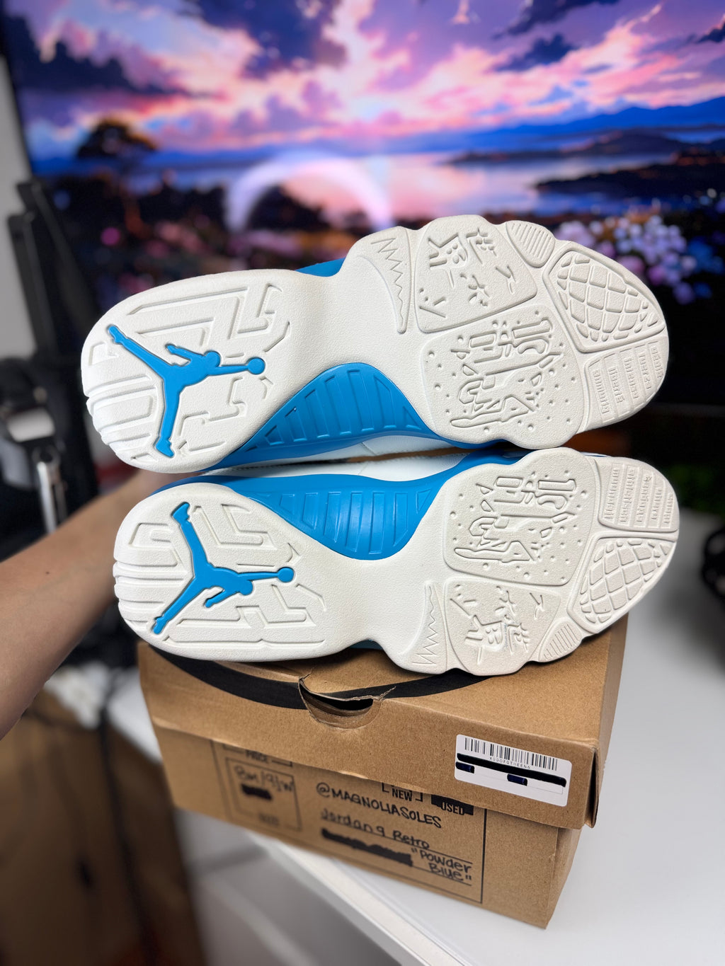 "Powder Blue" Air Jordan Retro 9