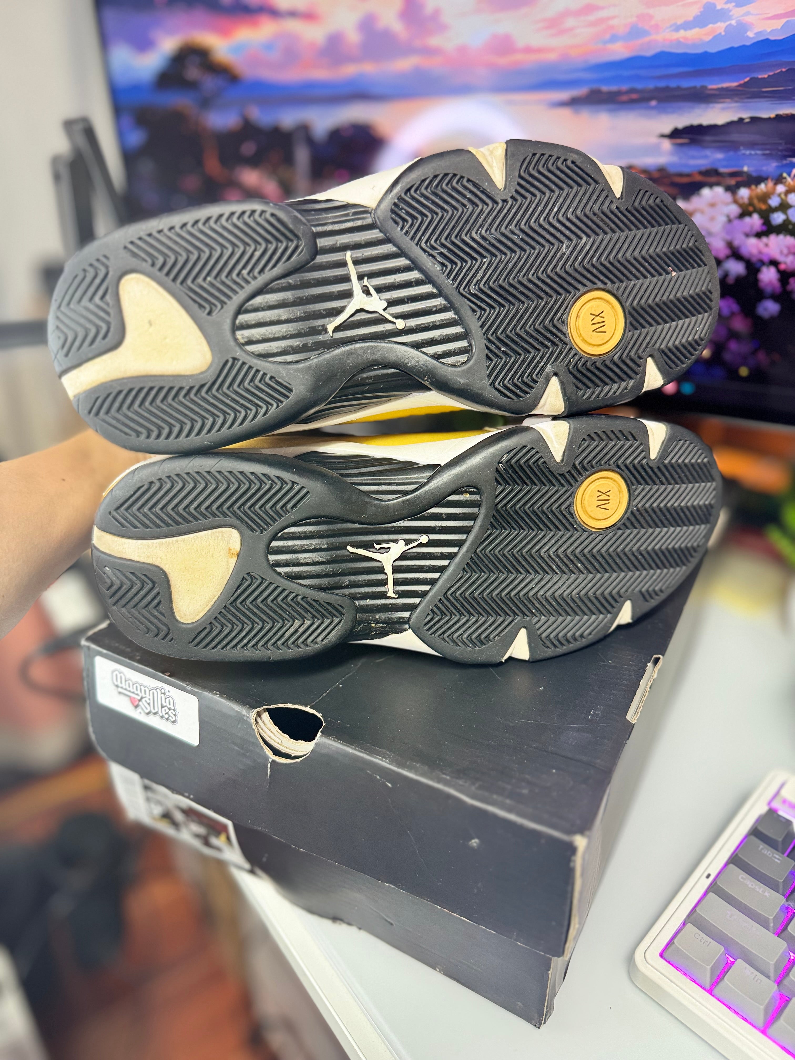 "Ginger" Air Jordan Retro 14
