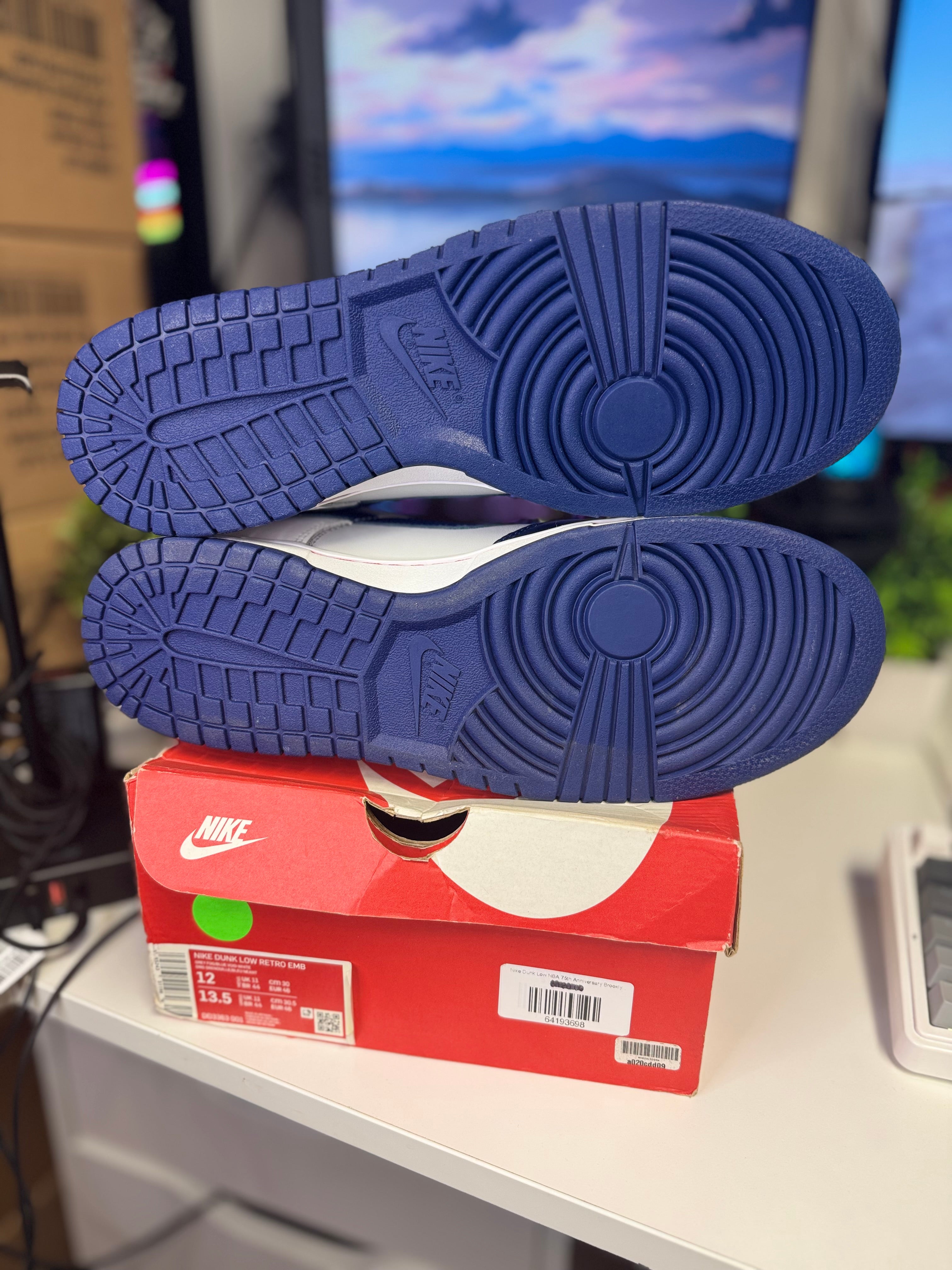 "Brooklyn Nets EMB" Nike Dunk Low