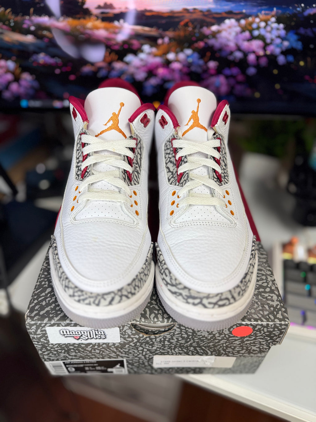 "Cardinal Red" Air Jordan Retro 3