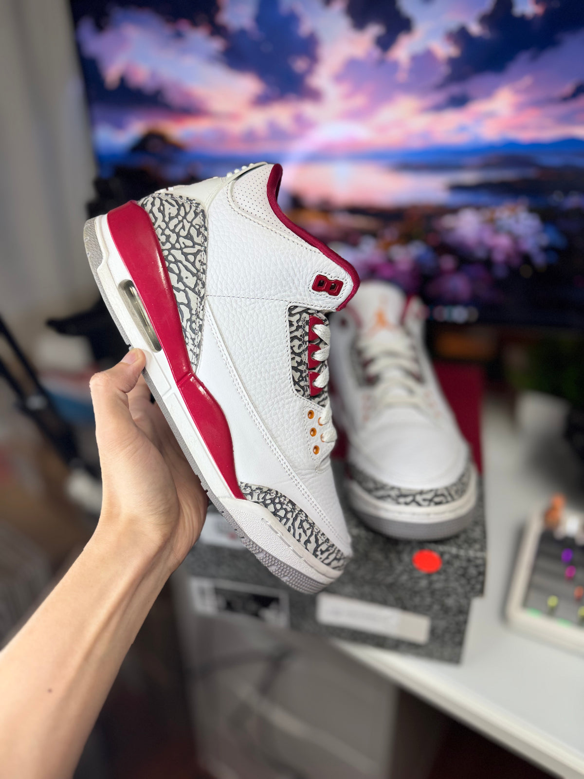 "Cardinal Red" Air Jordan Retro 3